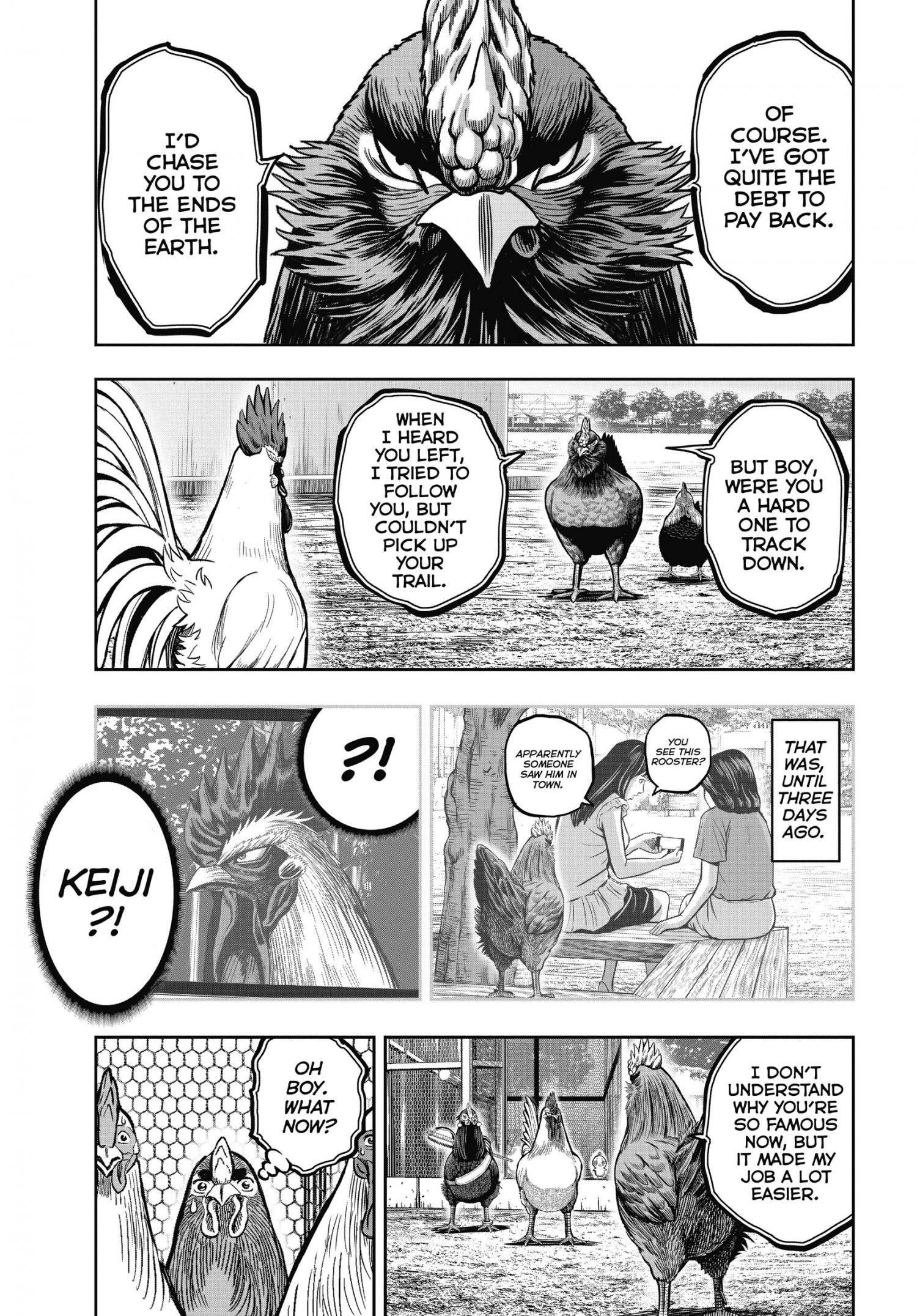 Read Rooster Fighter EN Manga Online