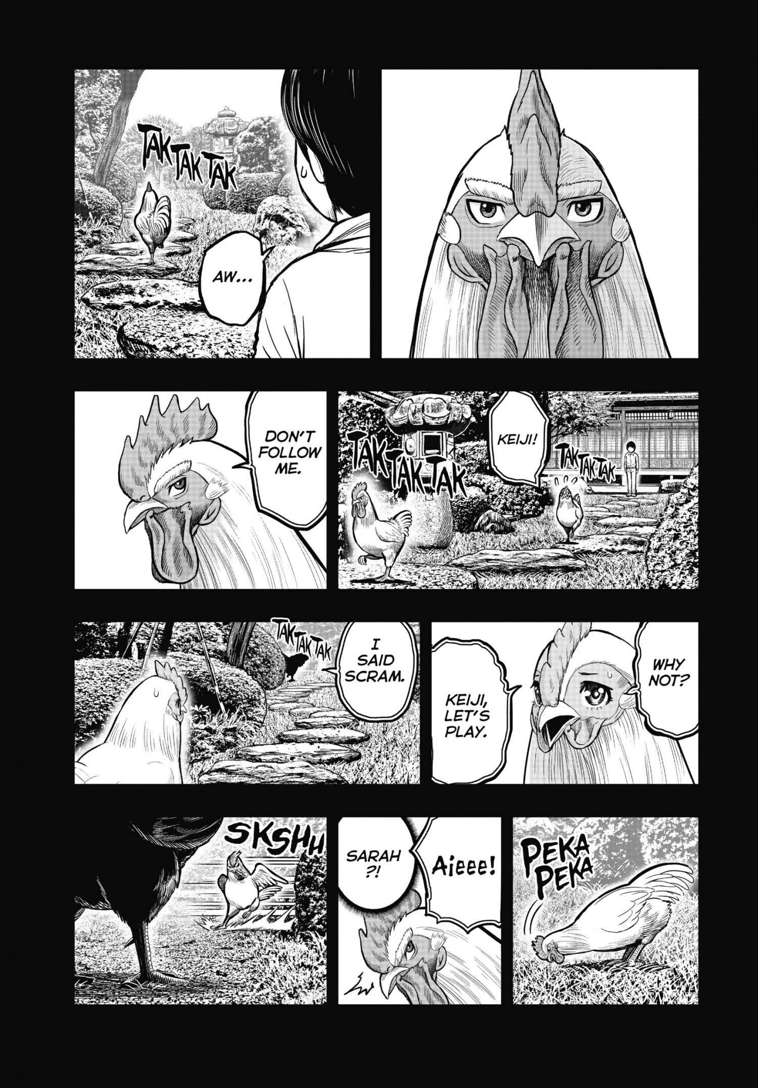 Read Rooster Fighter EN Manga Online
