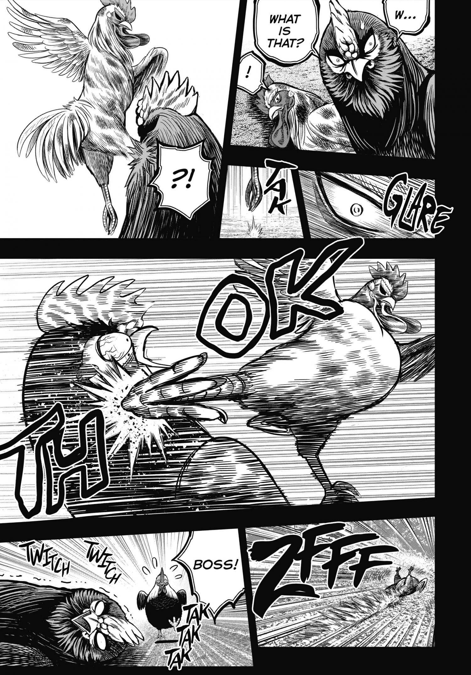 Read Rooster Fighter EN Manga Online