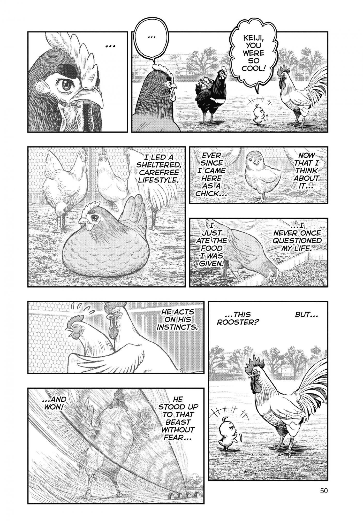 Read Rooster Fighter EN Manga Online