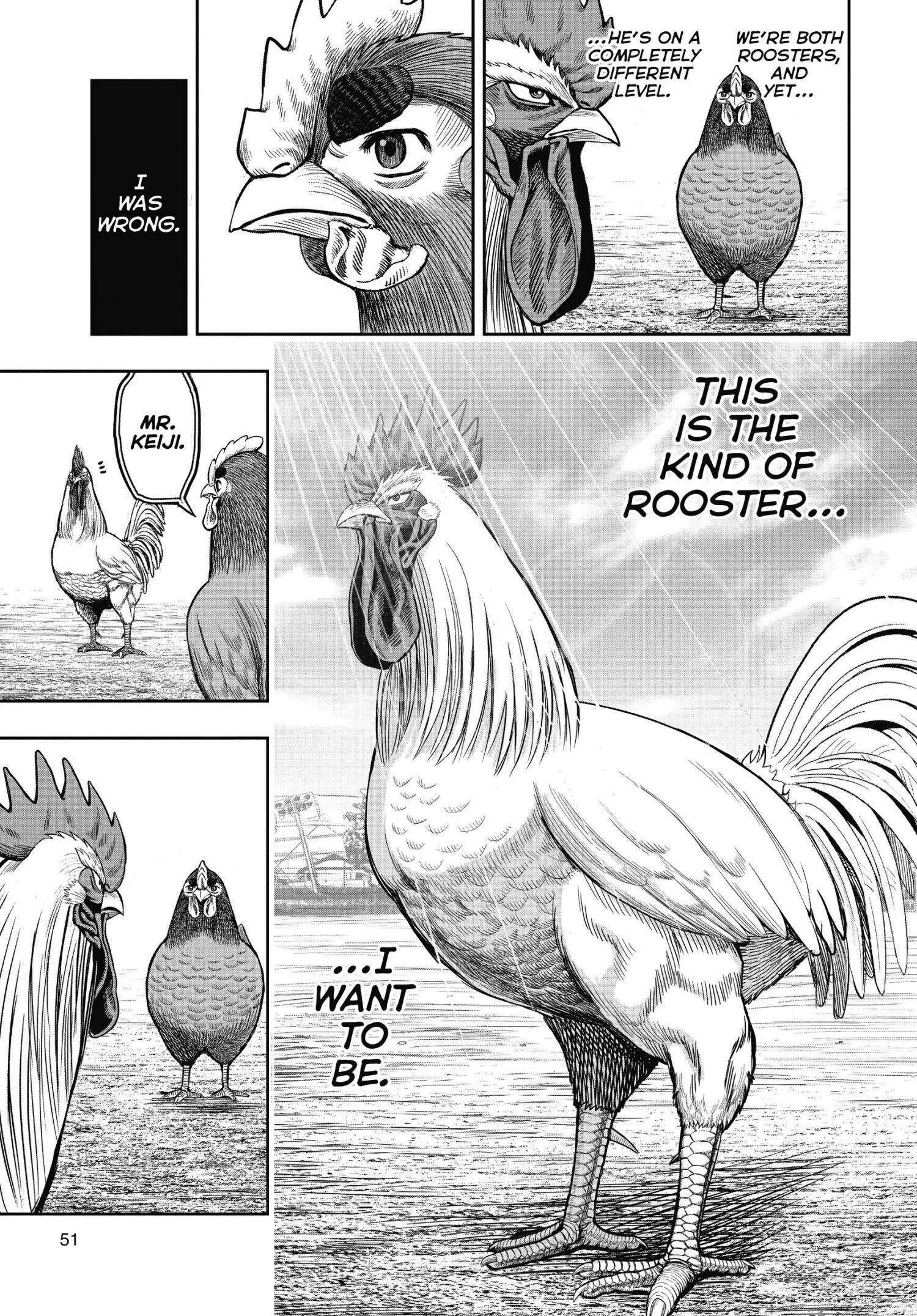 Read Rooster Fighter EN Manga Online