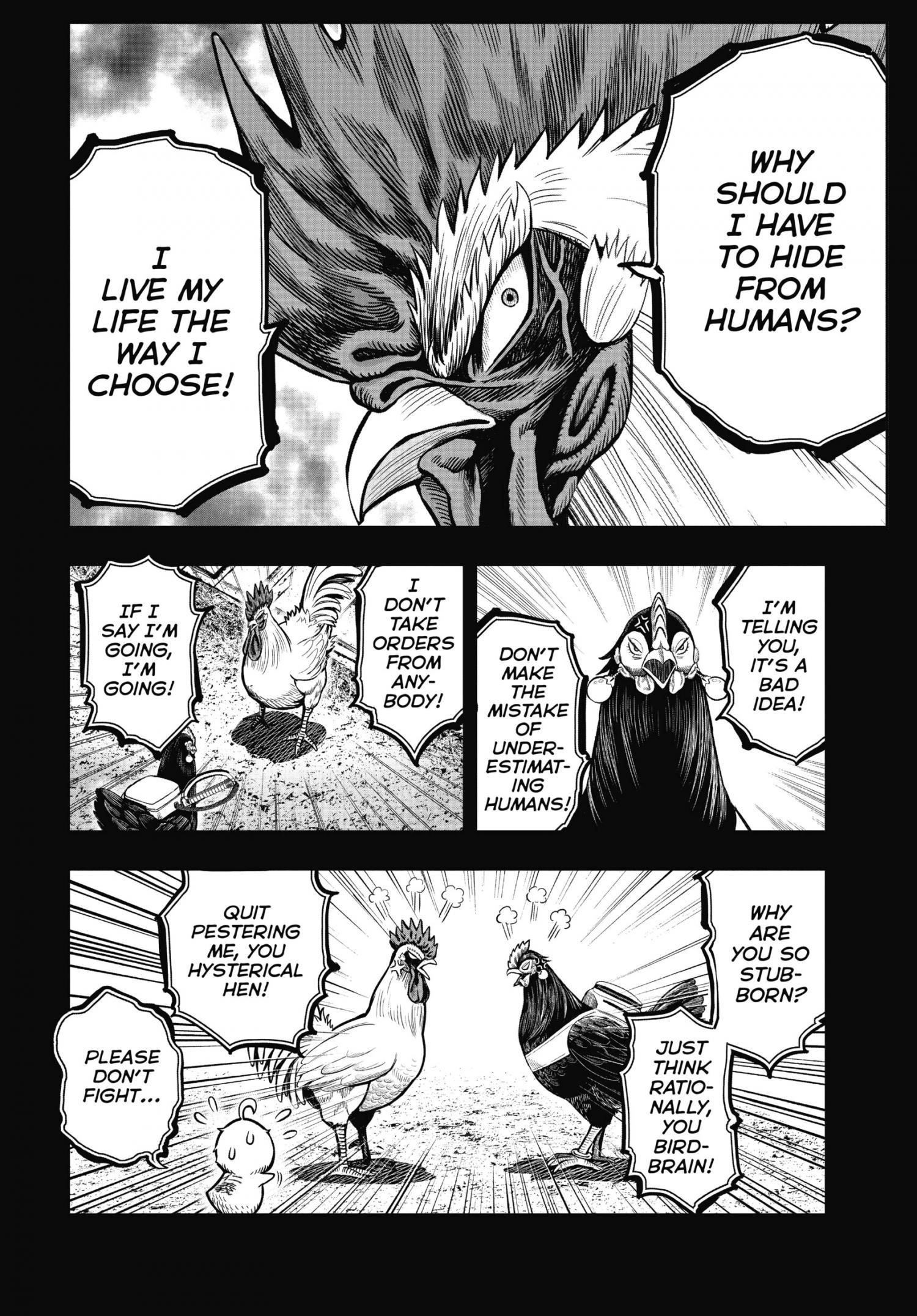 Read Rooster Fighter EN Manga Online