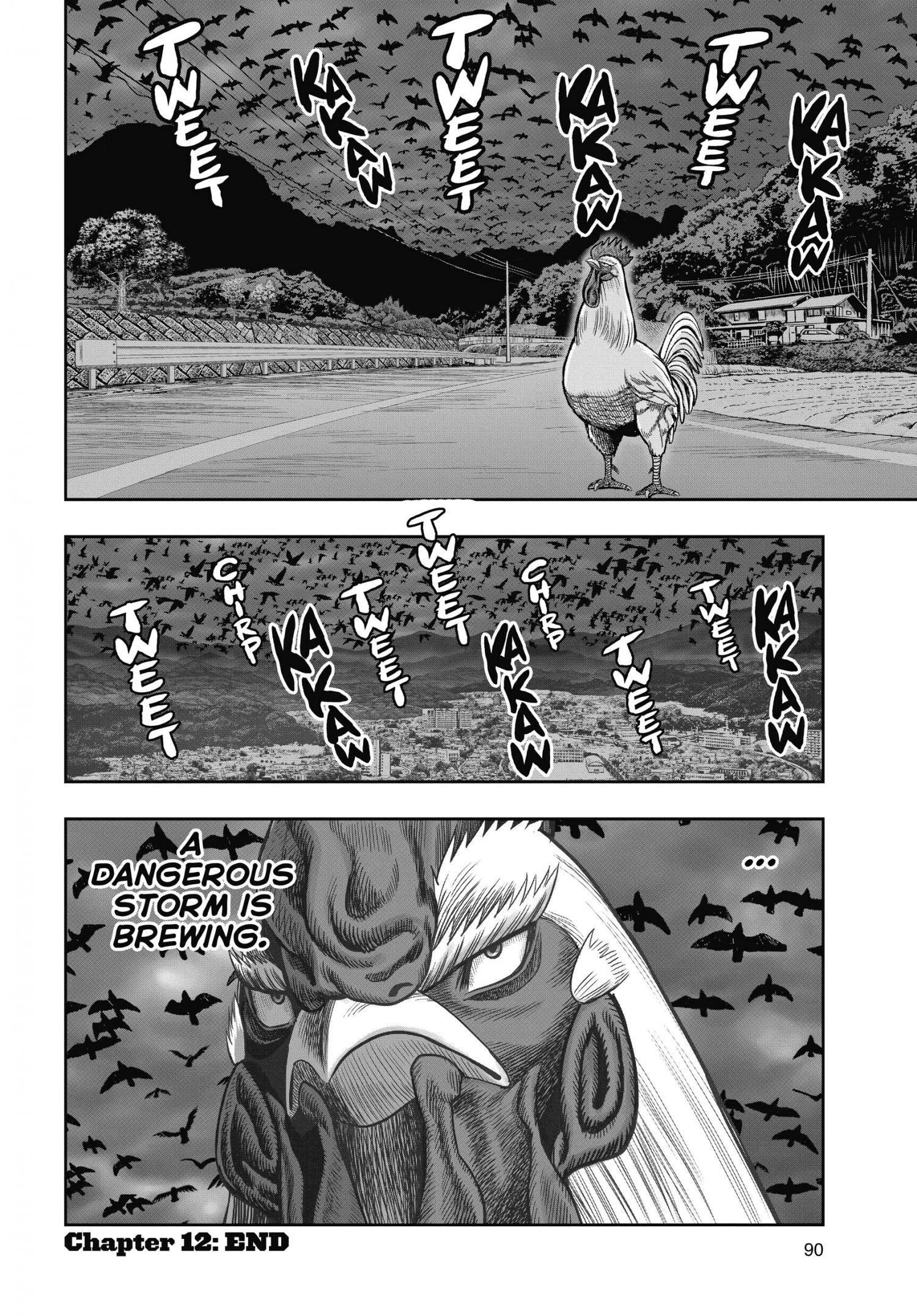 Read Rooster Fighter EN Manga Online