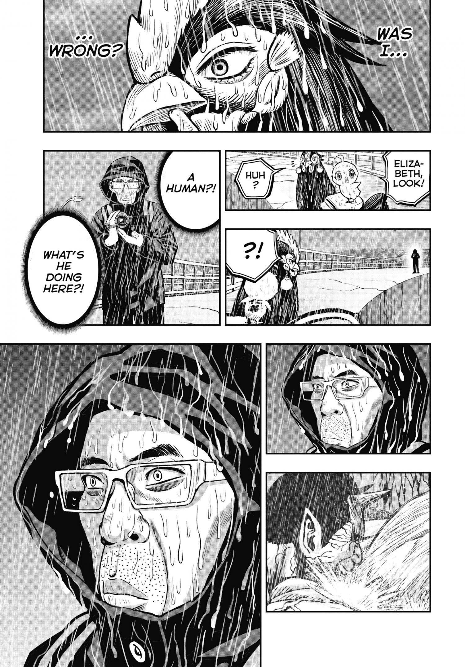 Read Rooster Fighter EN Manga Online