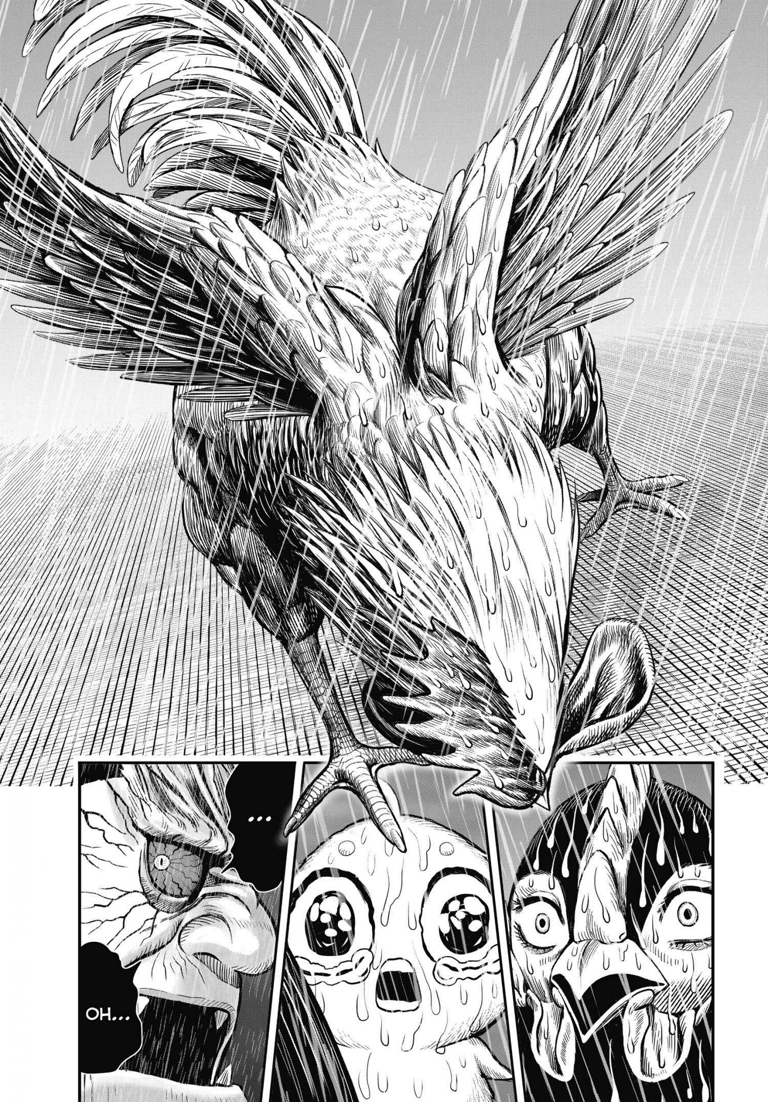Read Rooster Fighter EN Manga Online