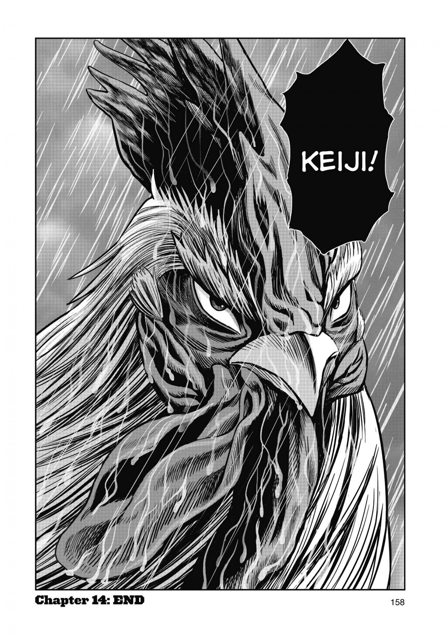 Read Rooster Fighter EN Manga Online