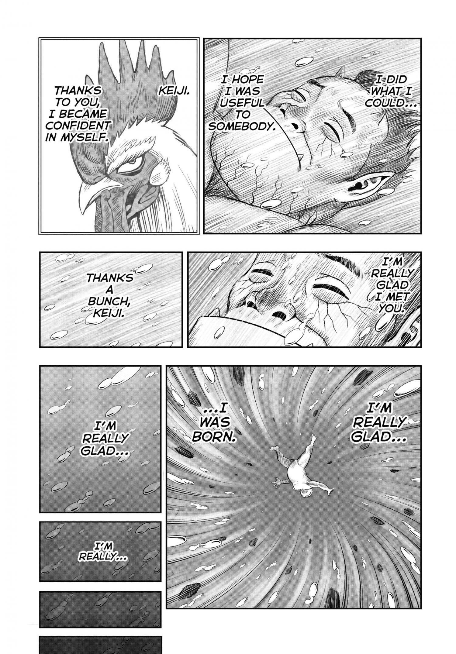 Read Rooster Fighter EN Manga Online
