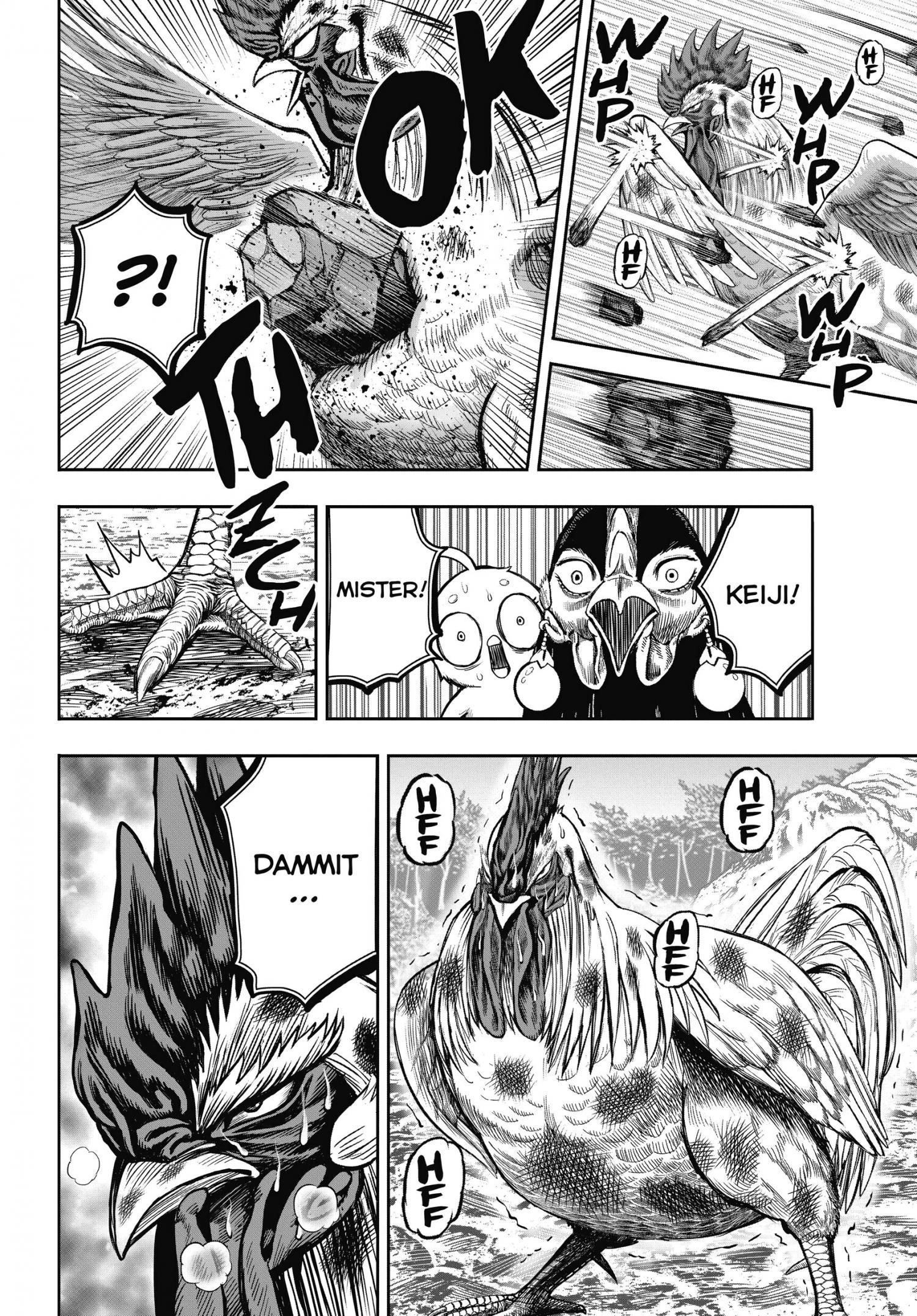Read Rooster Fighter EN Manga Online