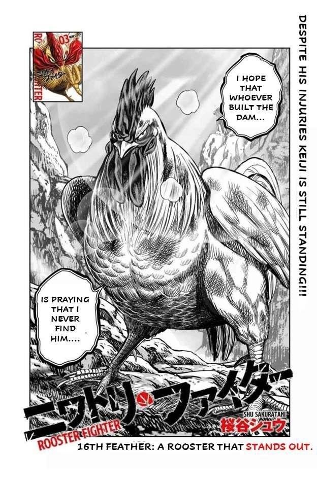 Read Rooster Fighter EN Manga Online