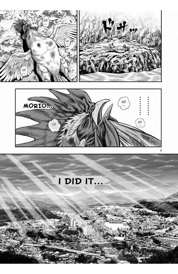 Read Rooster Fighter EN Manga Online