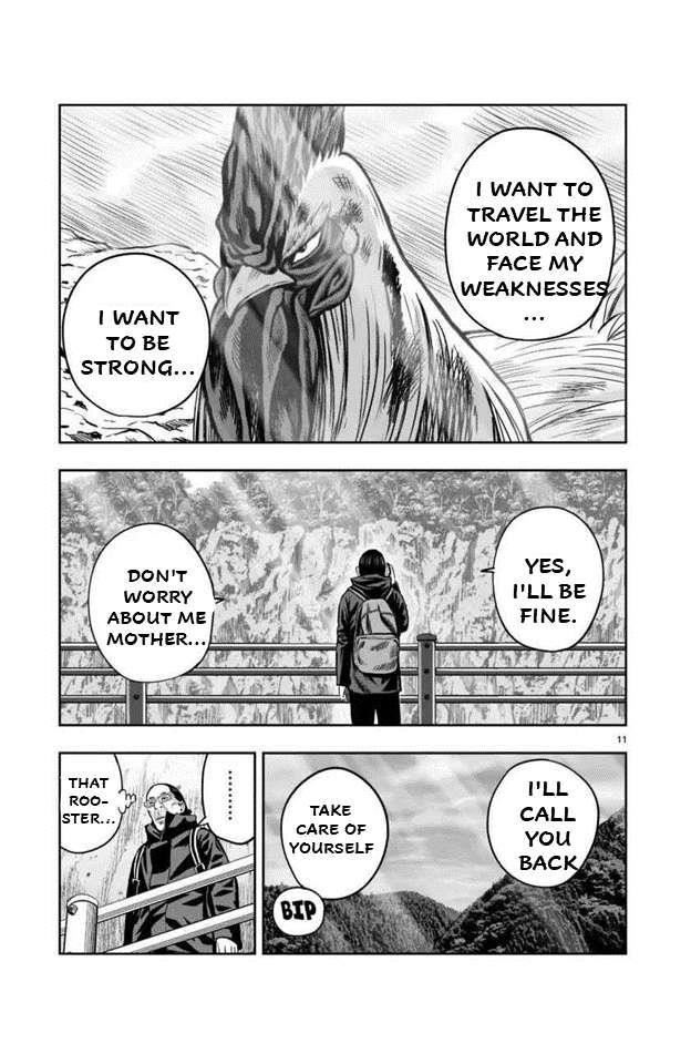 Read Rooster Fighter EN Manga Online