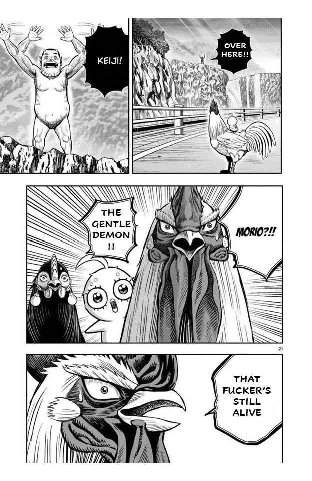 Read Rooster Fighter EN Manga Online
