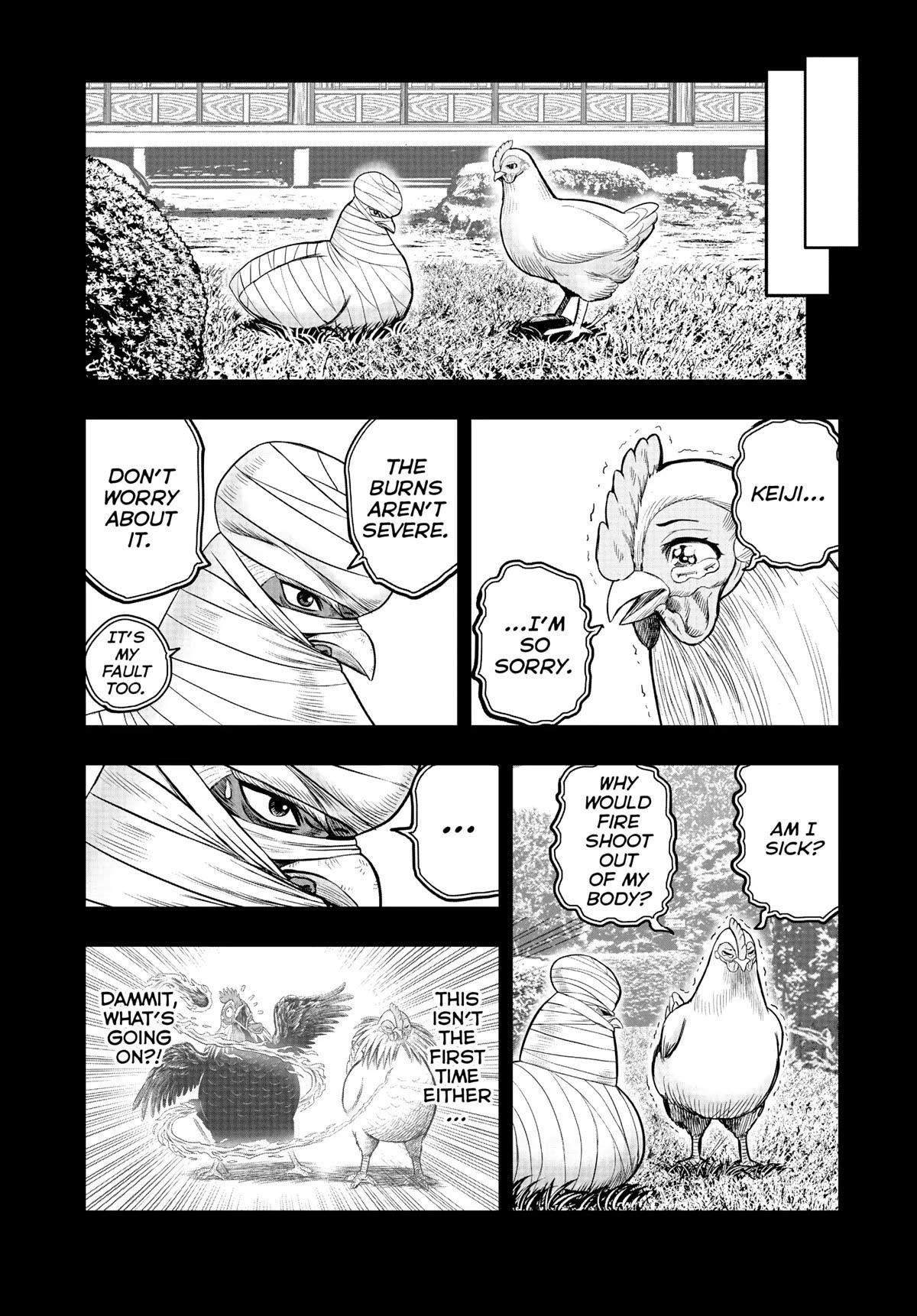 Read Rooster Fighter EN Manga Online
