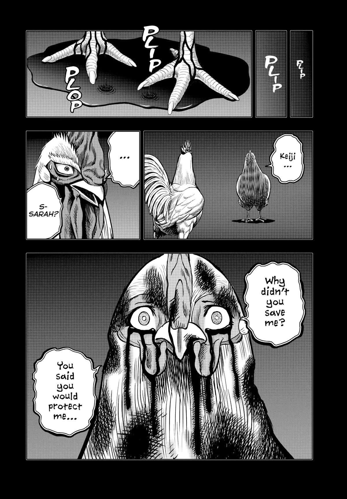 Read Rooster Fighter EN Manga Online