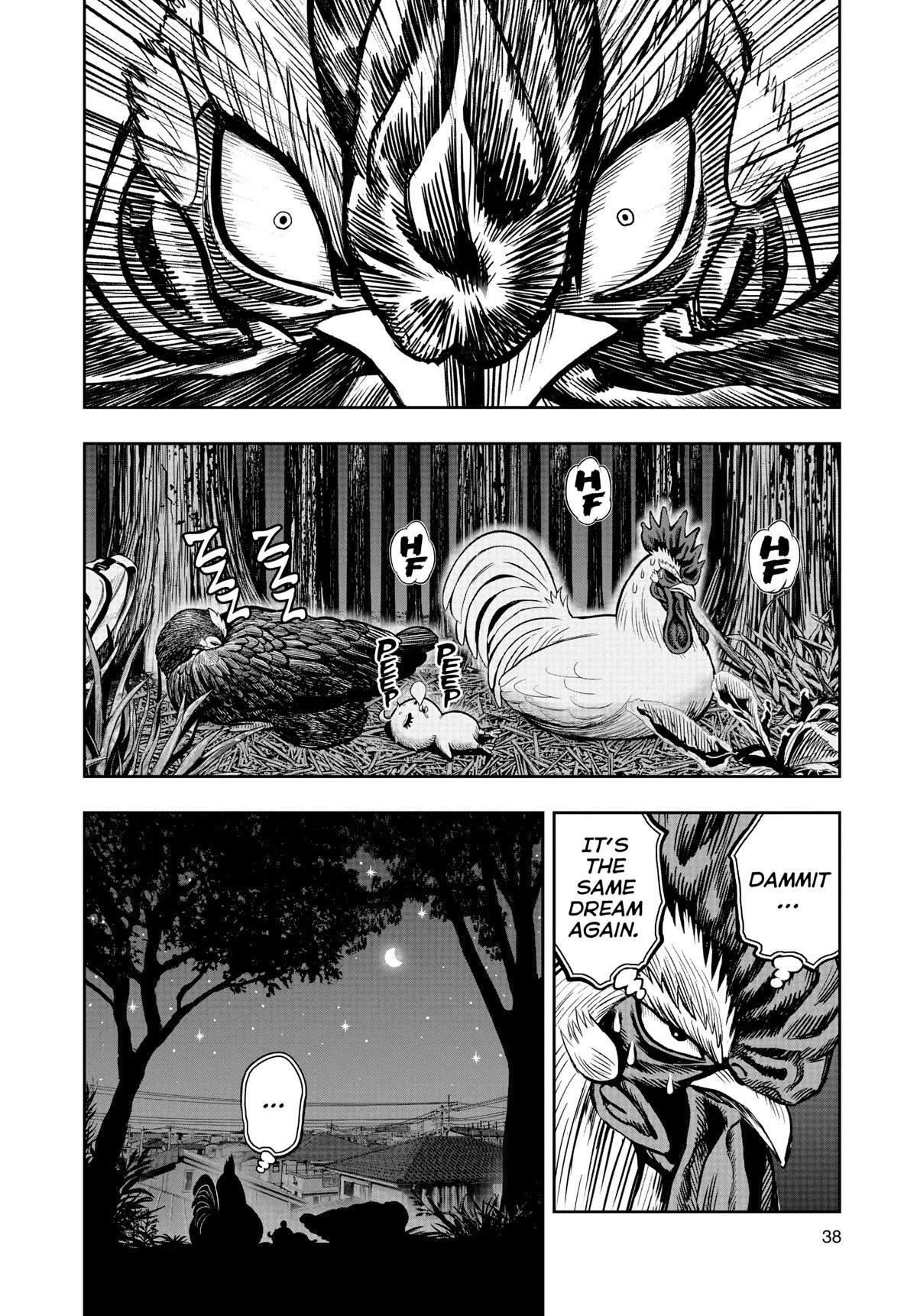 Read Rooster Fighter EN Manga Online