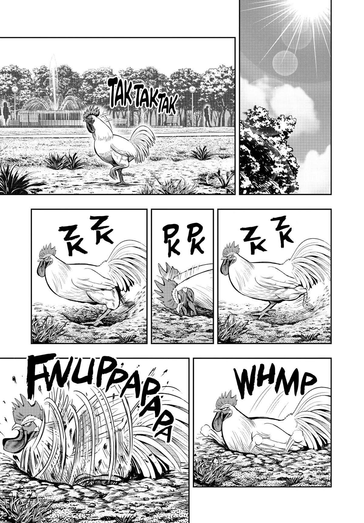Read Rooster Fighter EN Manga Online