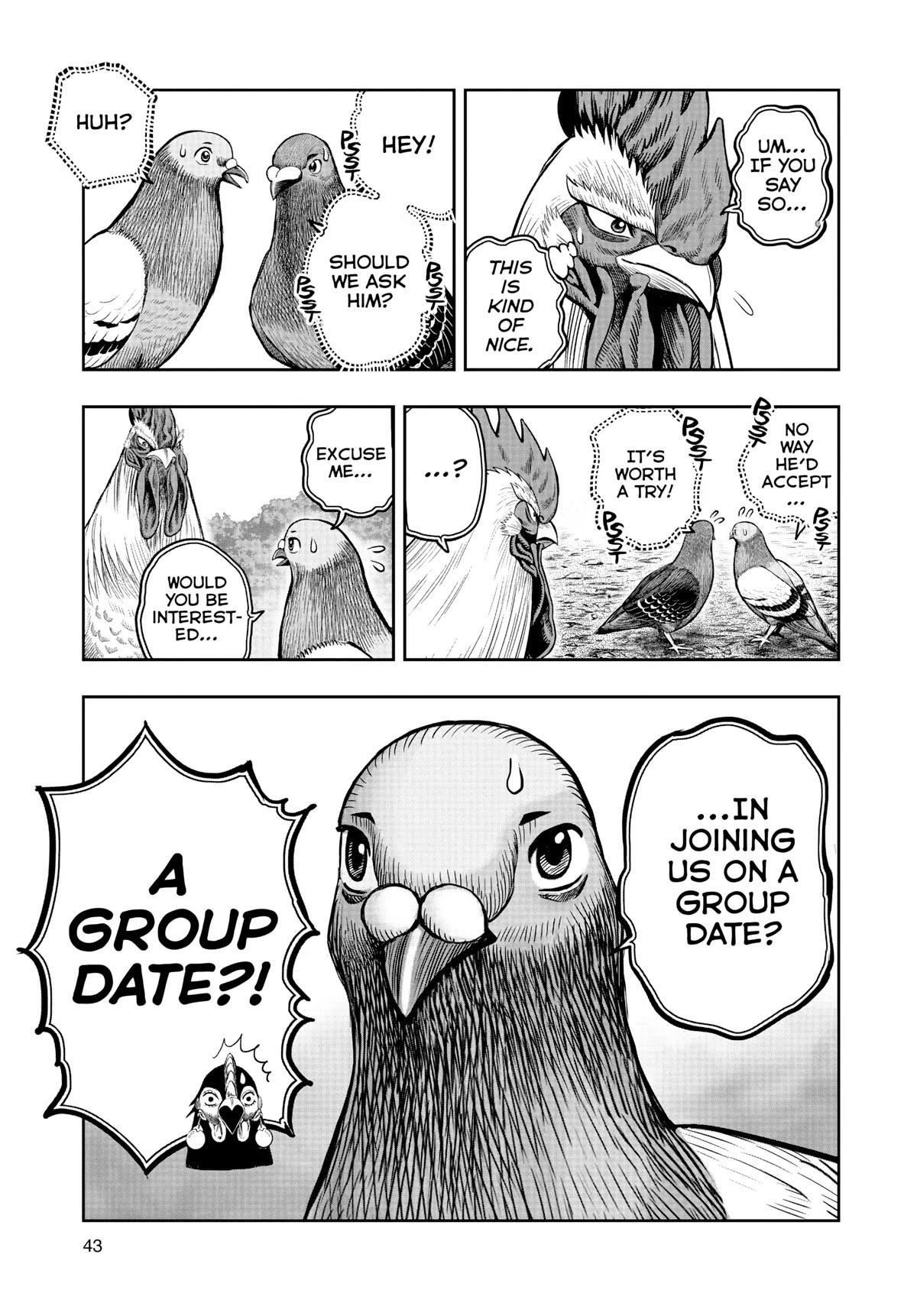 Read Rooster Fighter EN Manga Online