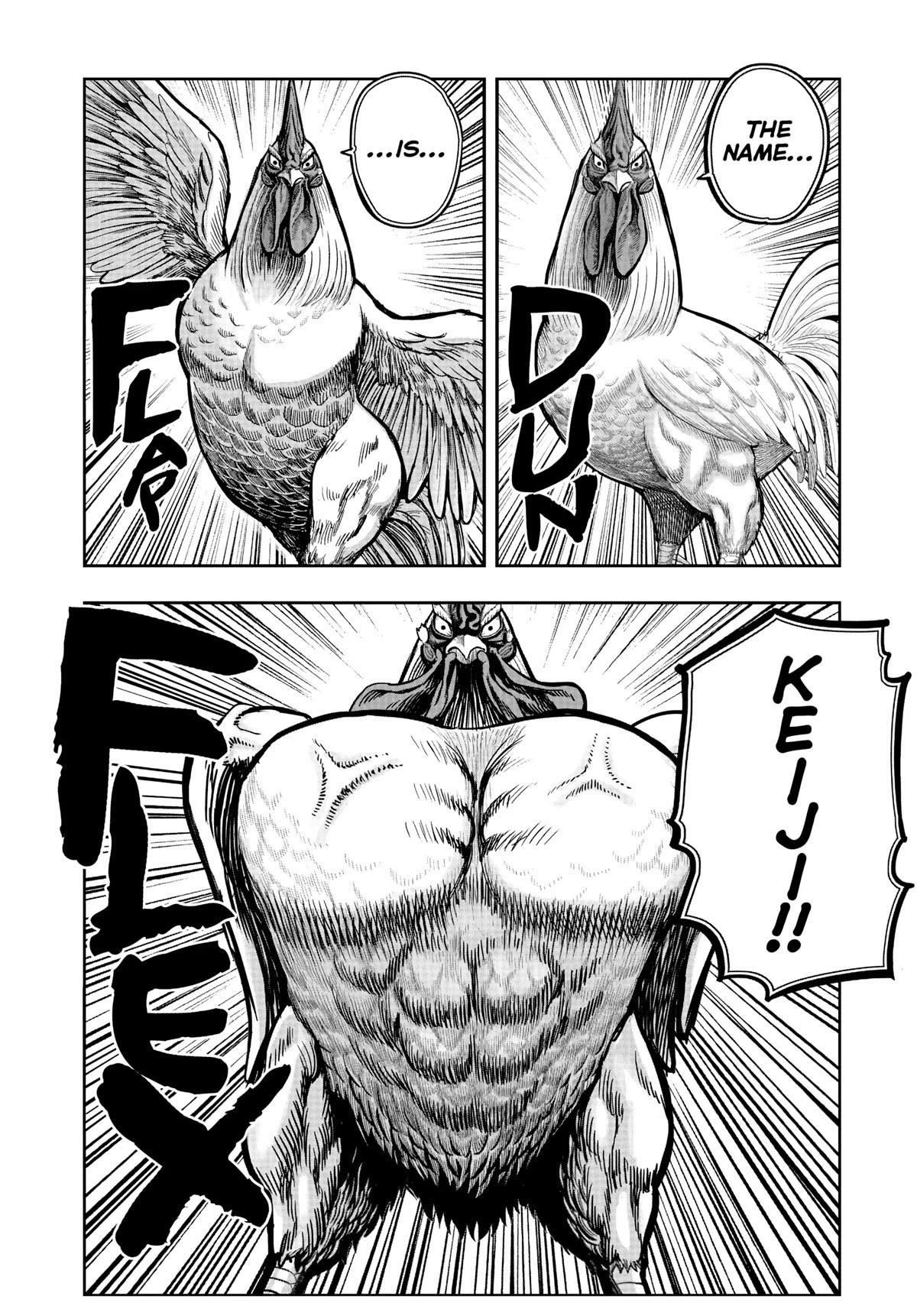 Read Rooster Fighter EN Manga Online