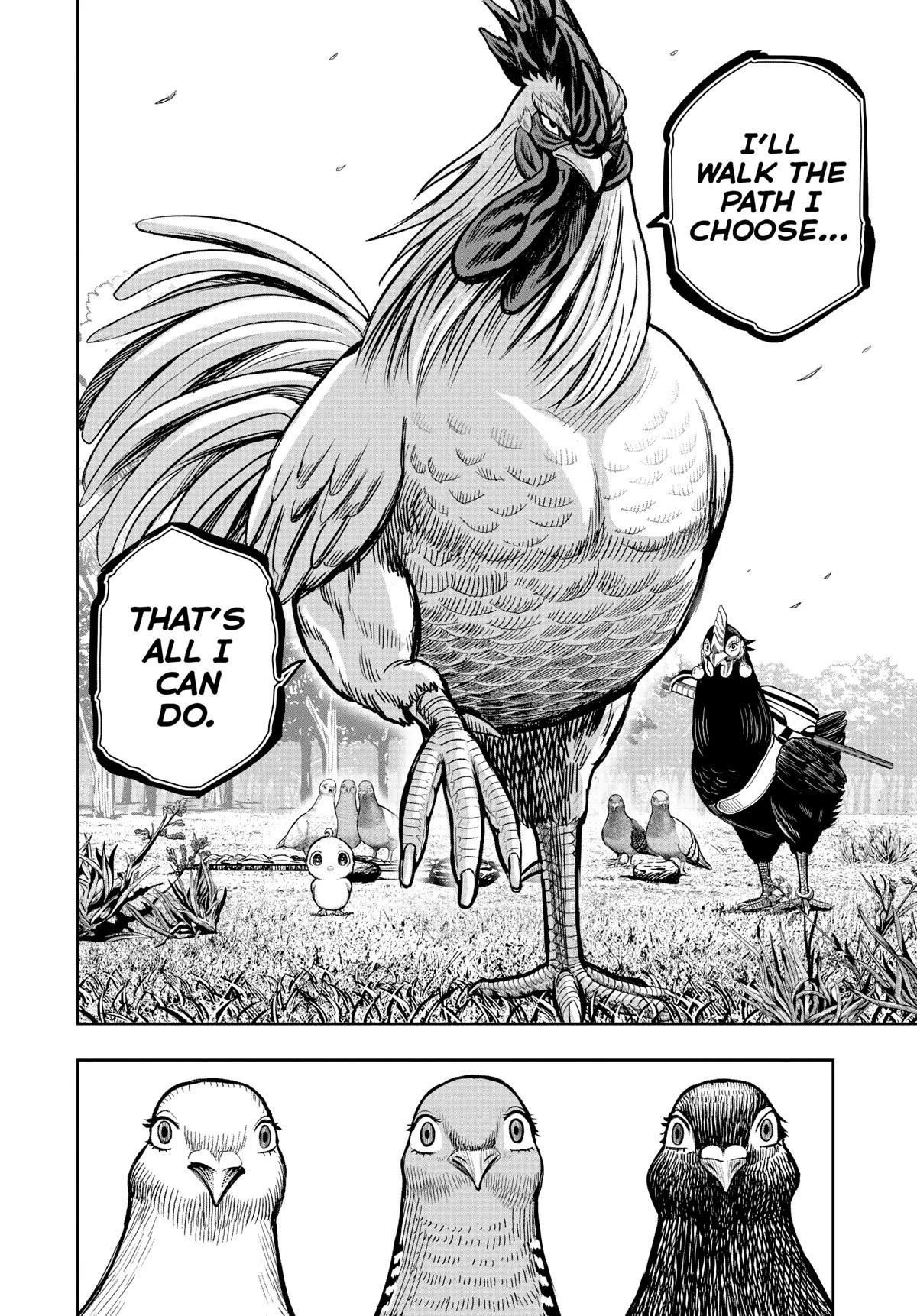 Read Rooster Fighter EN Manga Online