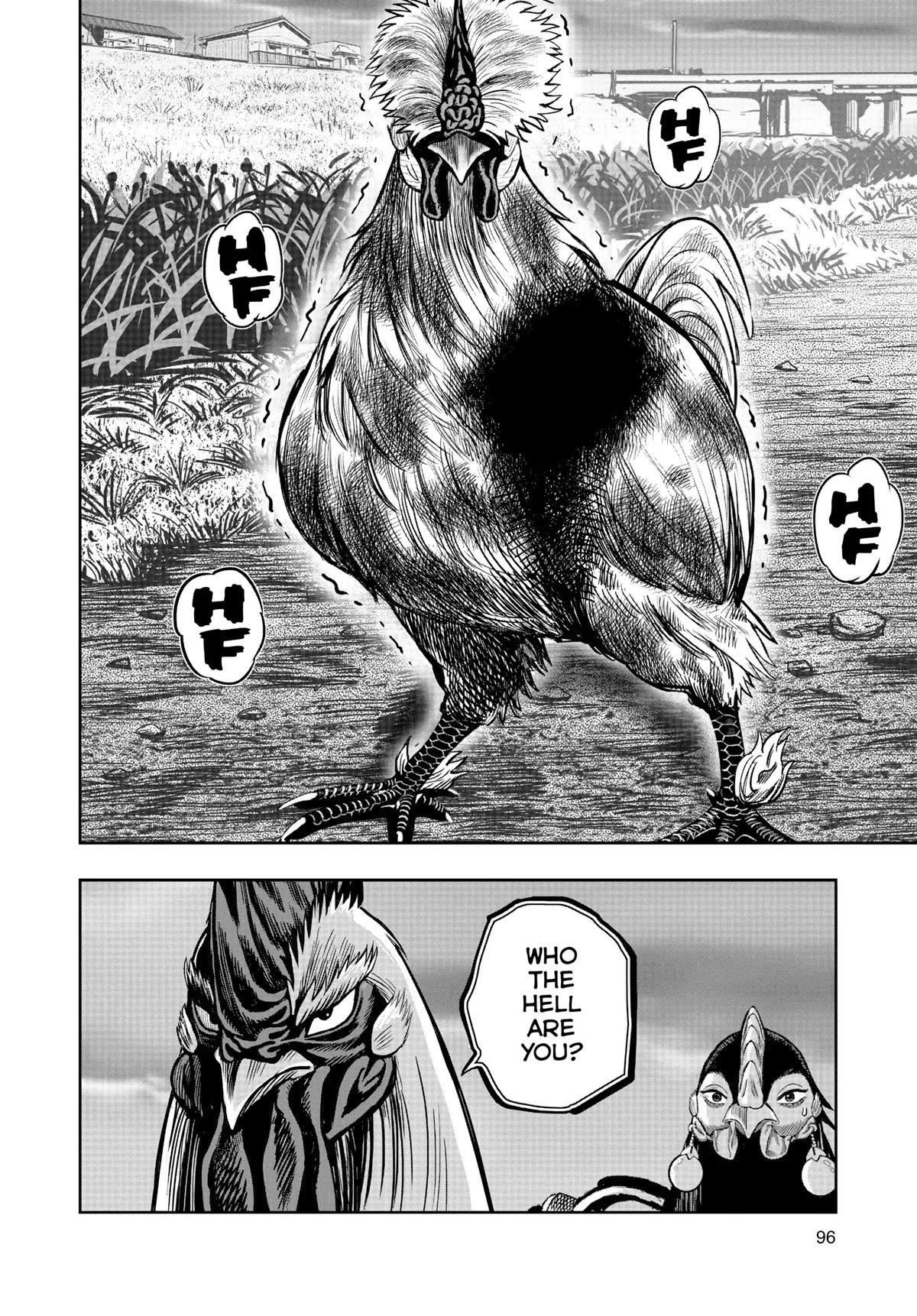 Read Rooster Fighter EN Manga Online