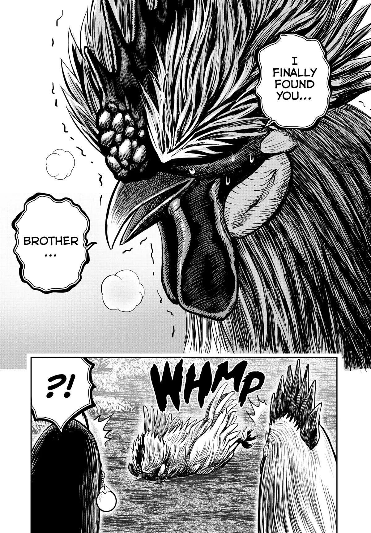 Read Rooster Fighter EN Manga Online