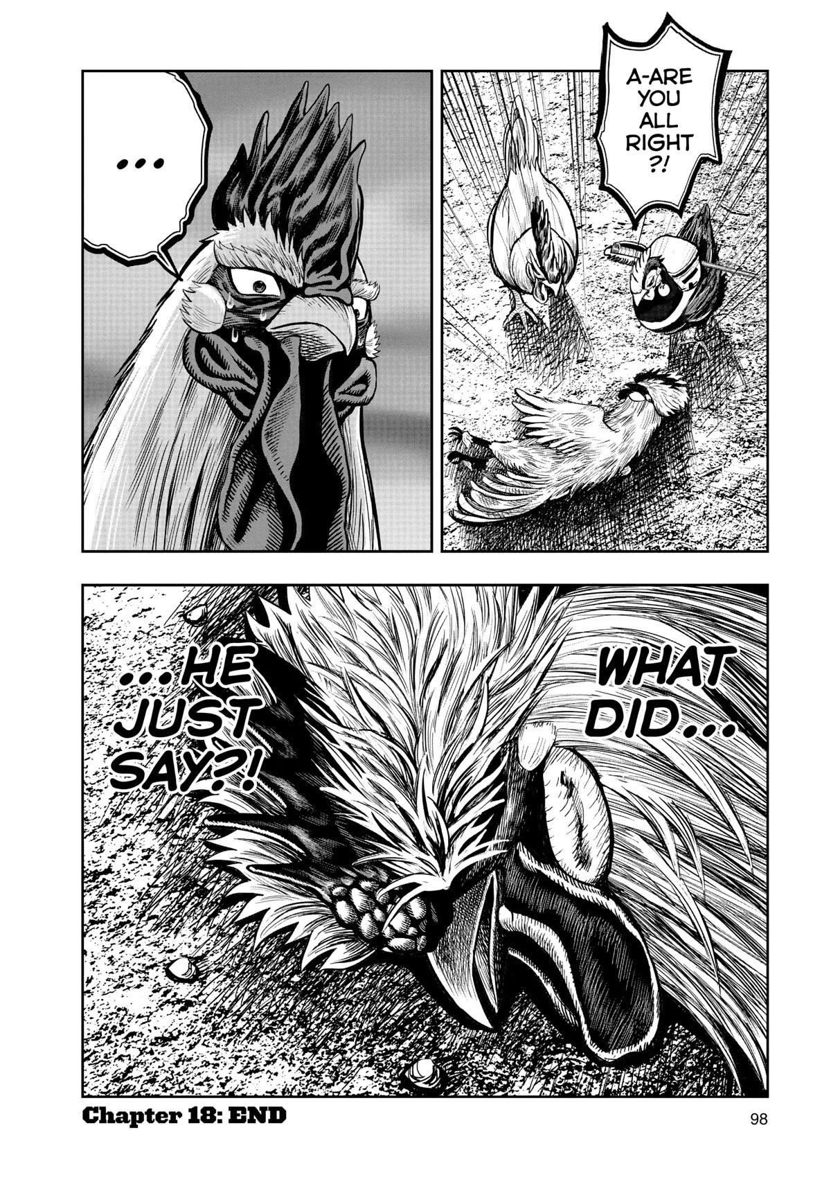Read Rooster Fighter EN Manga Online