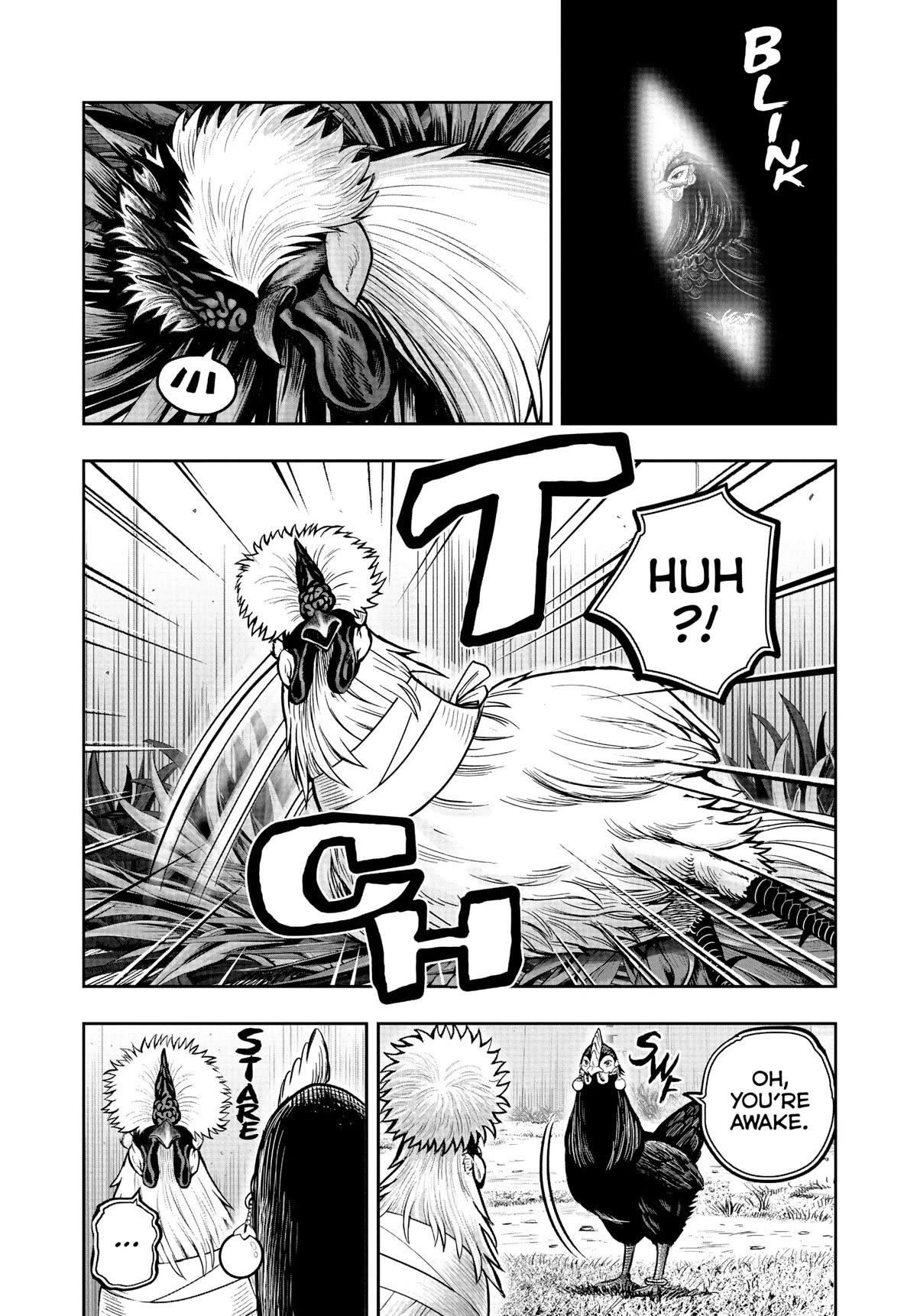 Read Rooster Fighter EN Manga Online