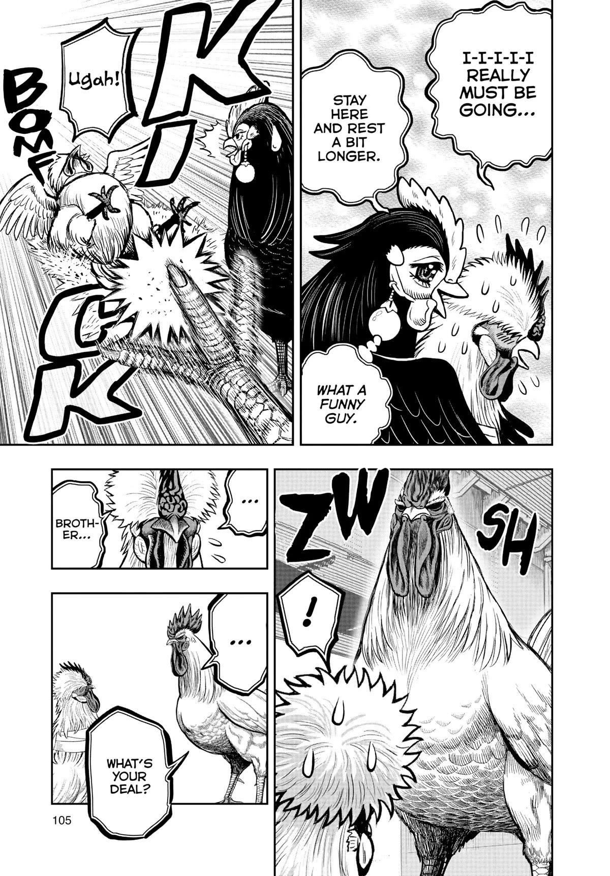 Read Rooster Fighter EN Manga Online