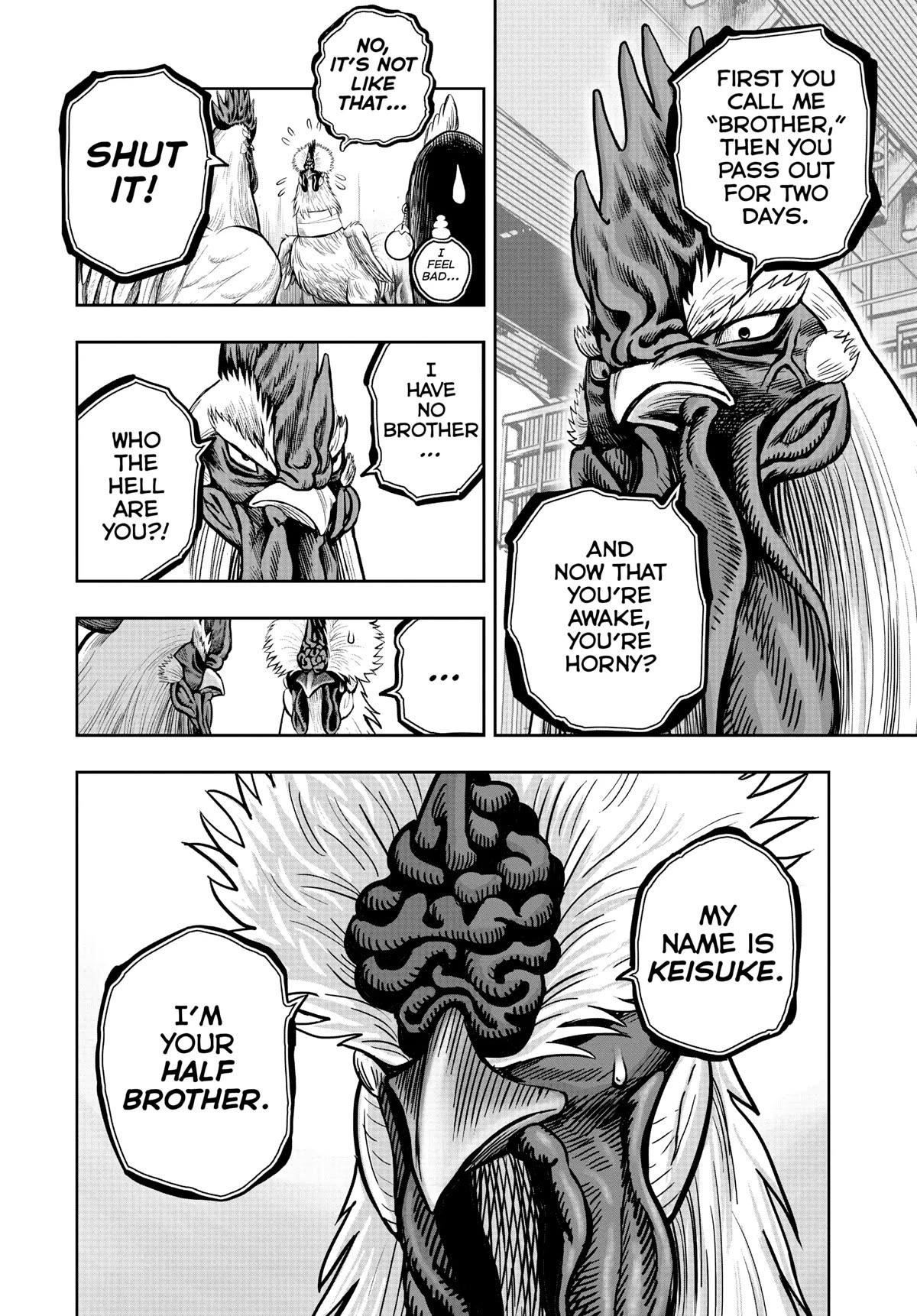 Read Rooster Fighter EN Manga Online