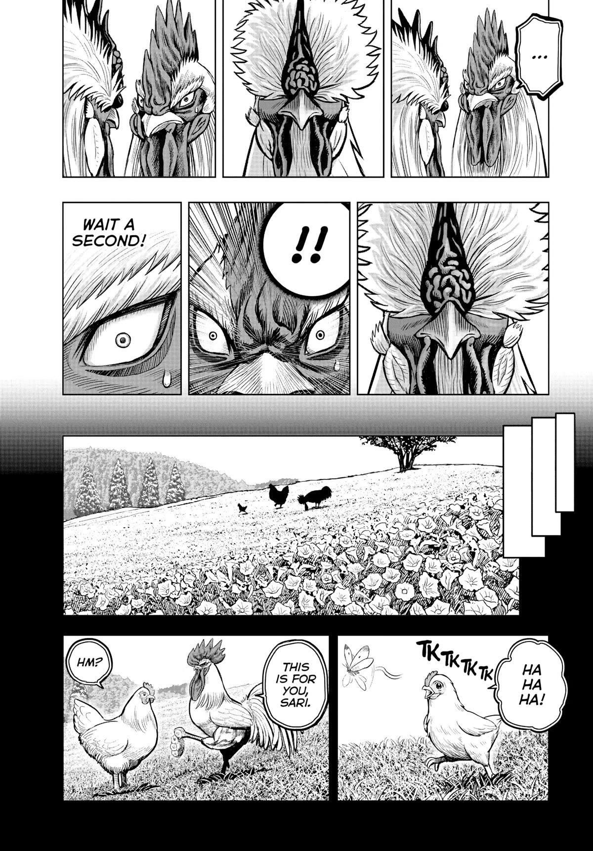 Read Rooster Fighter EN Manga Online