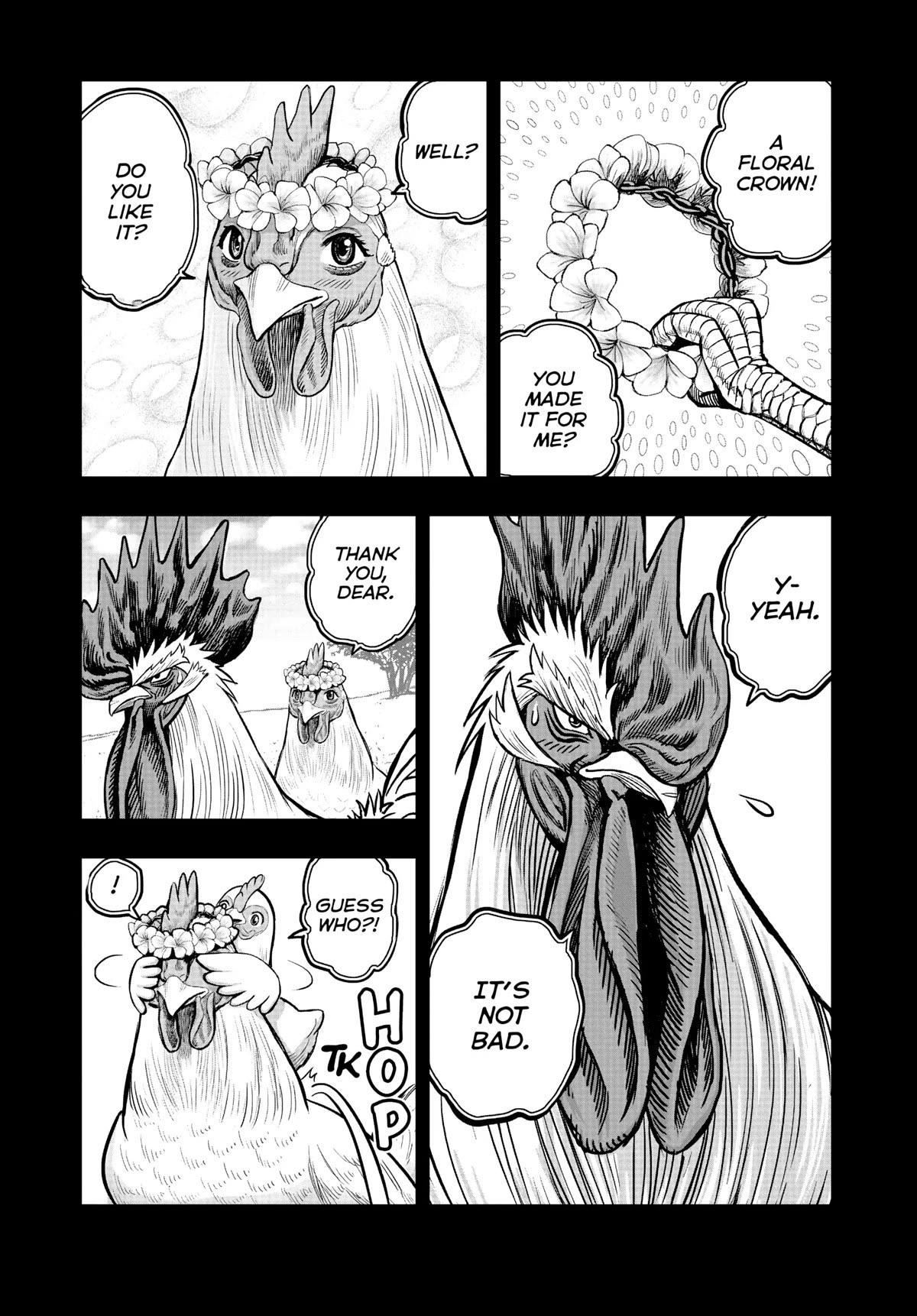 Read Rooster Fighter EN Manga Online