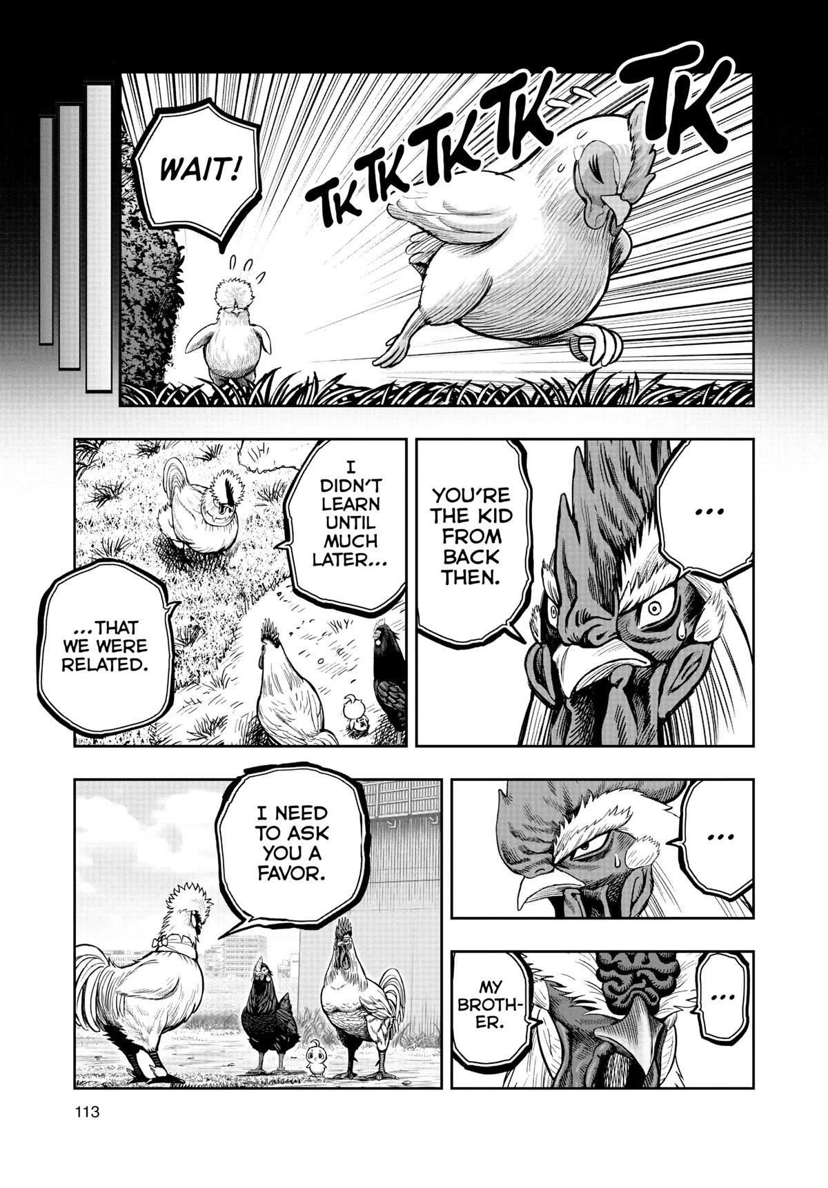 Read Rooster Fighter EN Manga Online