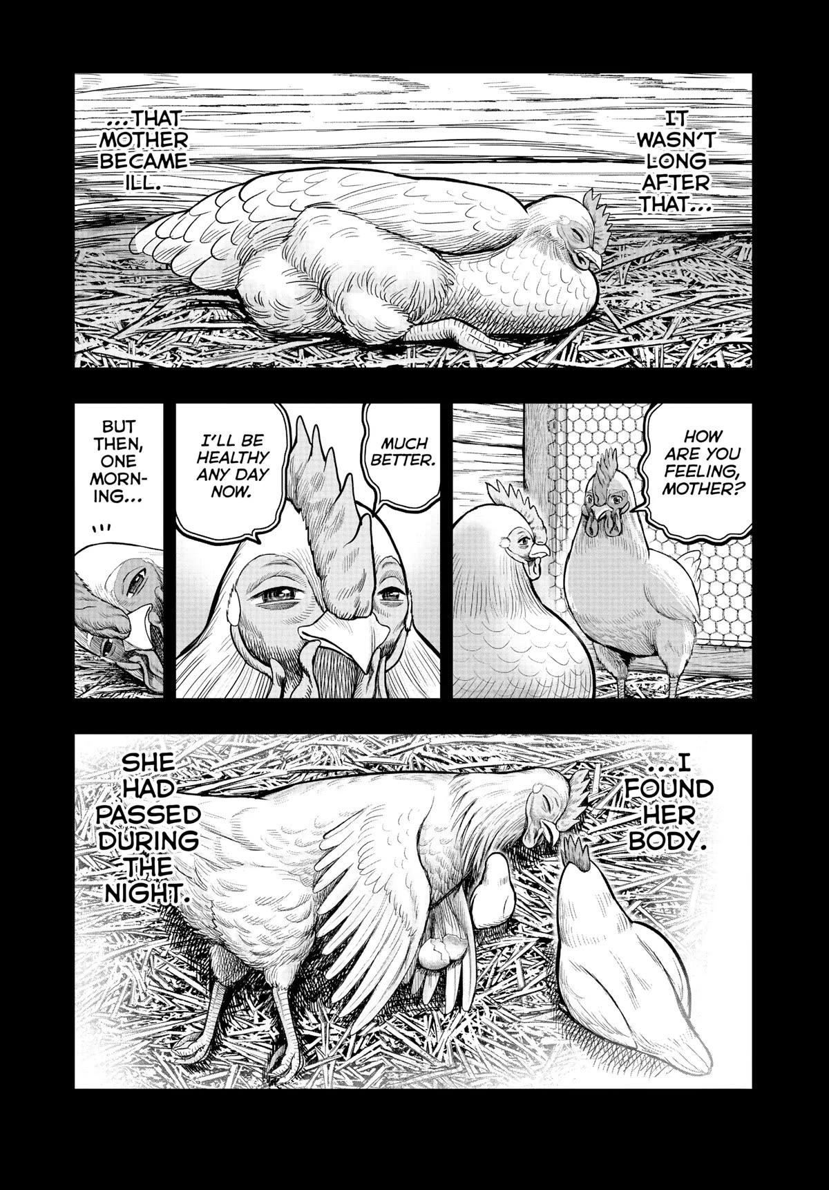 Read Rooster Fighter EN Manga Online