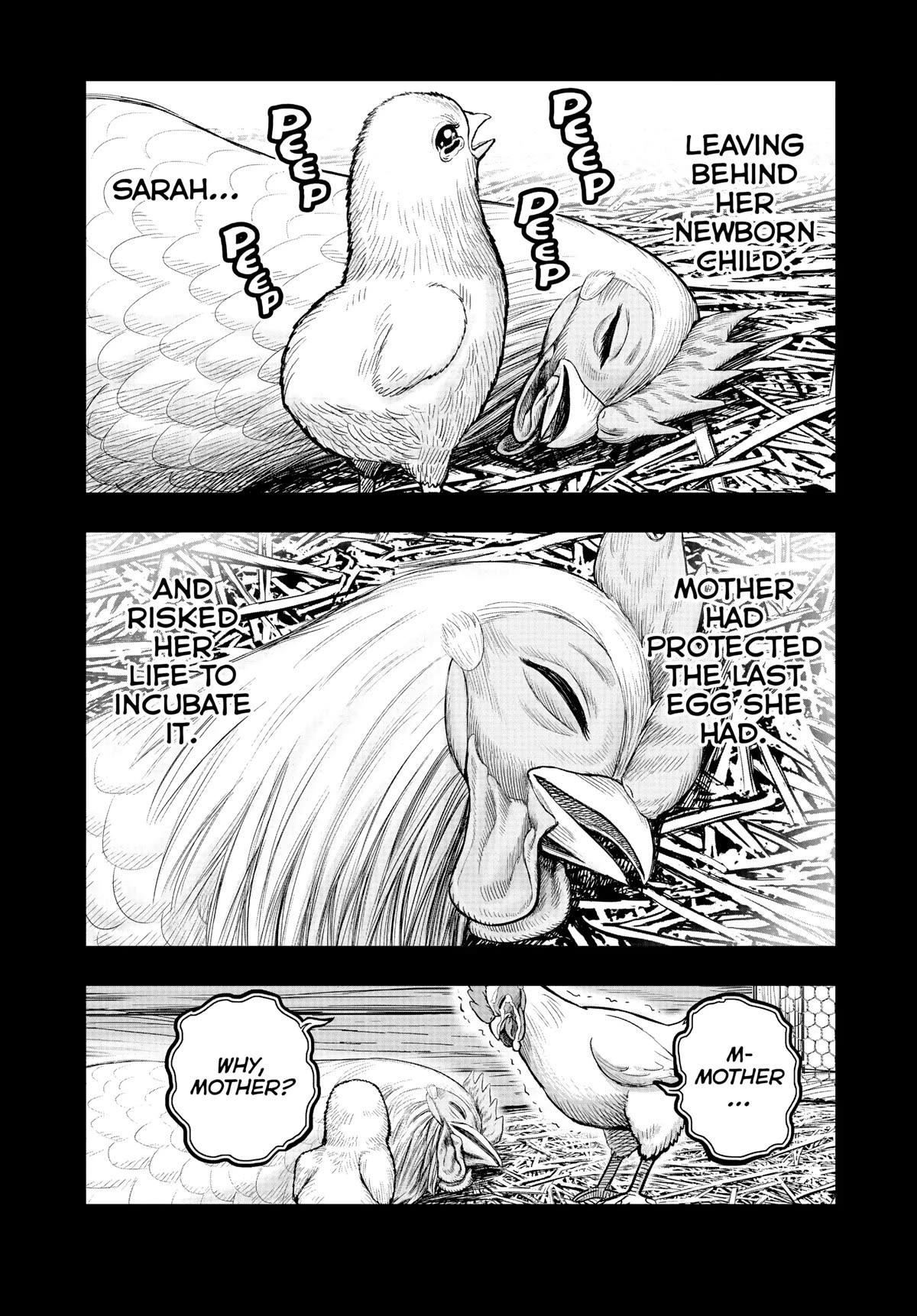 Read Rooster Fighter EN Manga Online