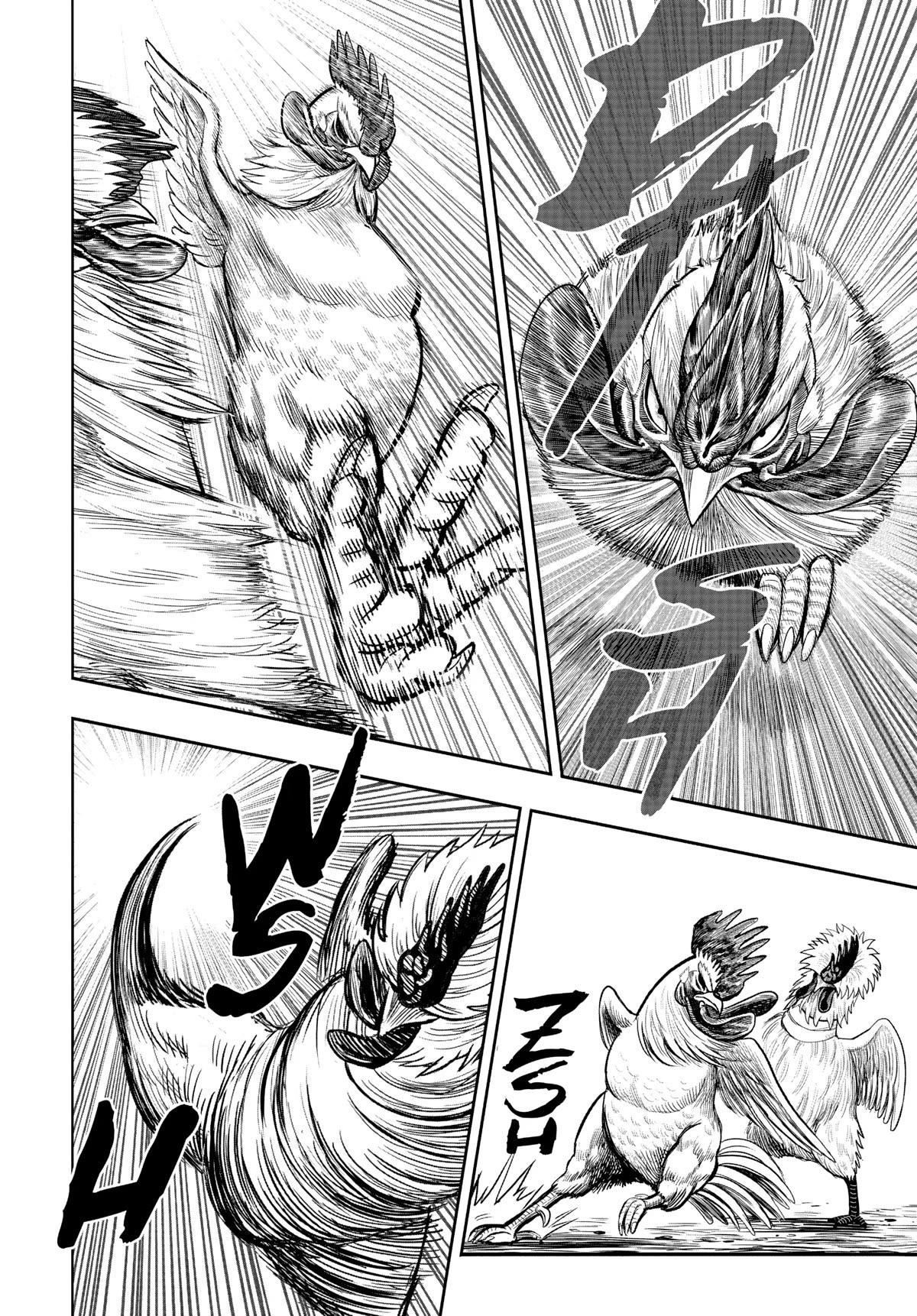 Read Rooster Fighter EN Manga Online