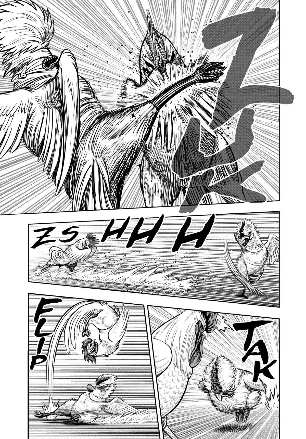 Read Rooster Fighter EN Manga Online