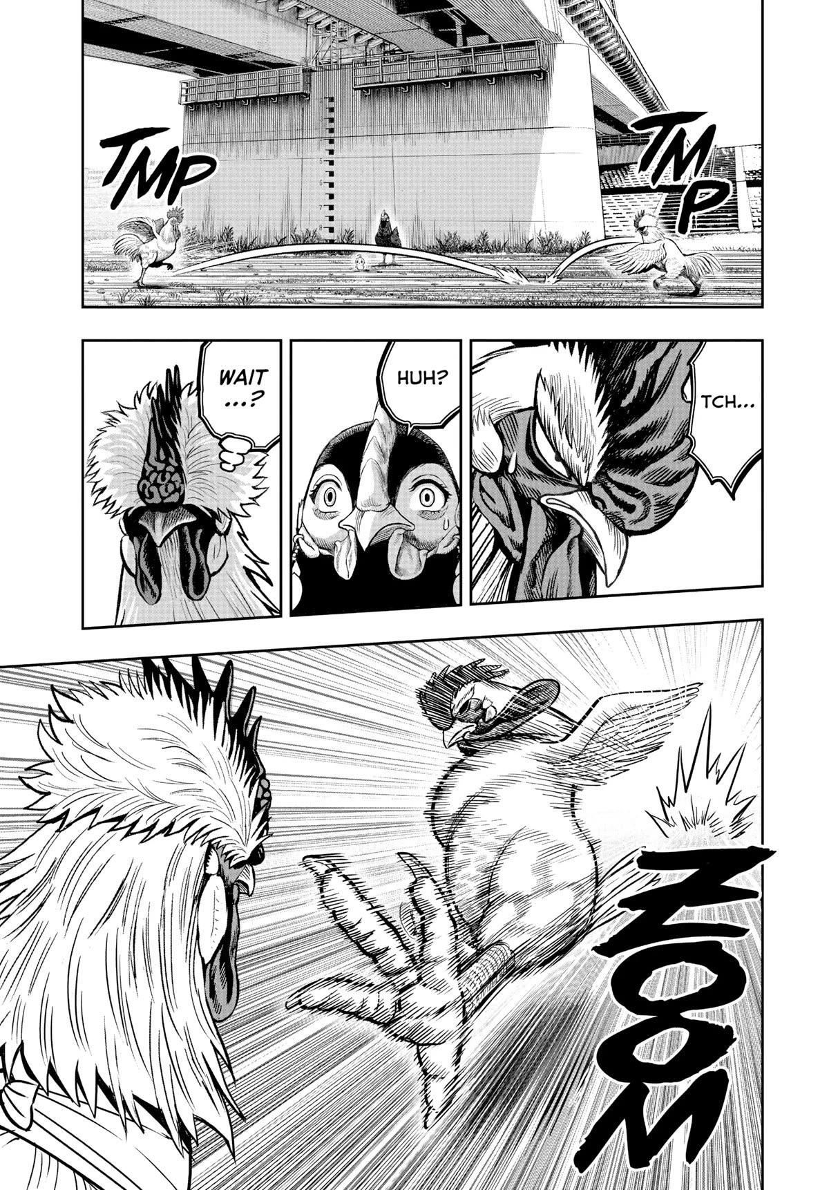 Read Rooster Fighter EN Manga Online