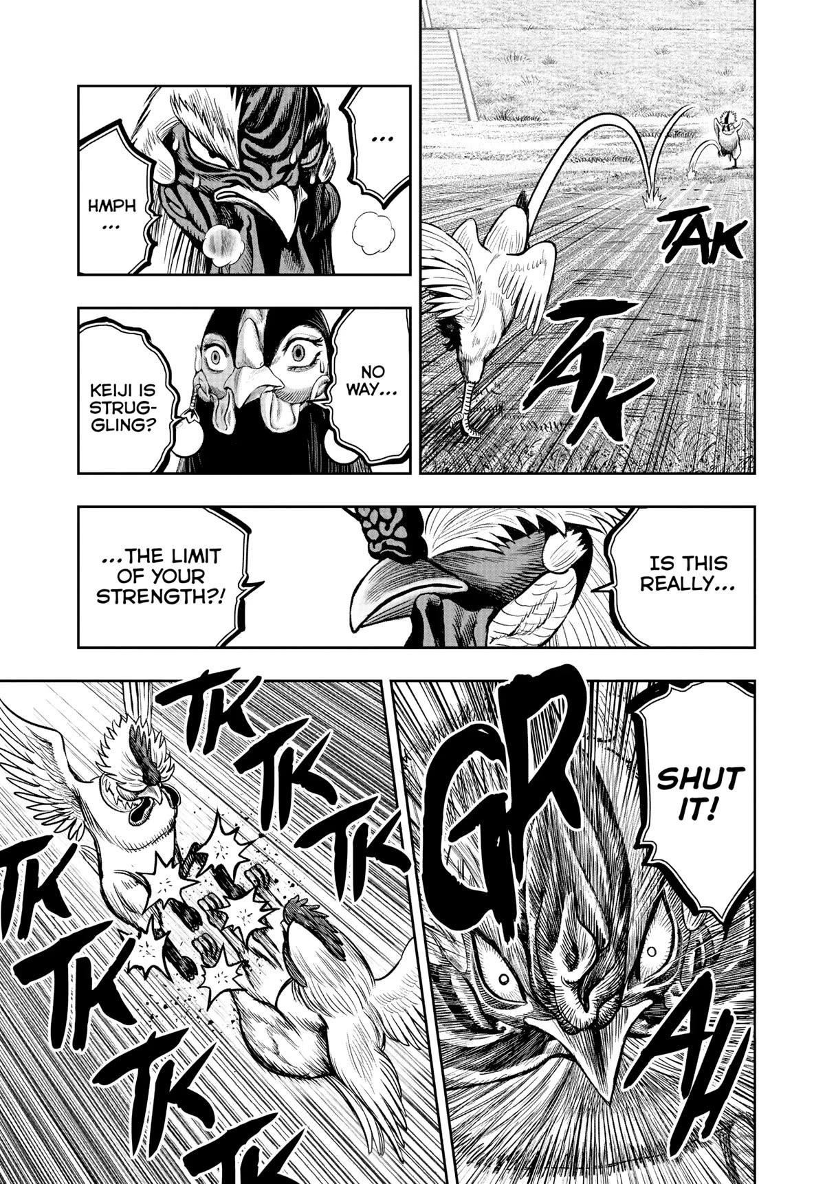 Read Rooster Fighter EN Manga Online