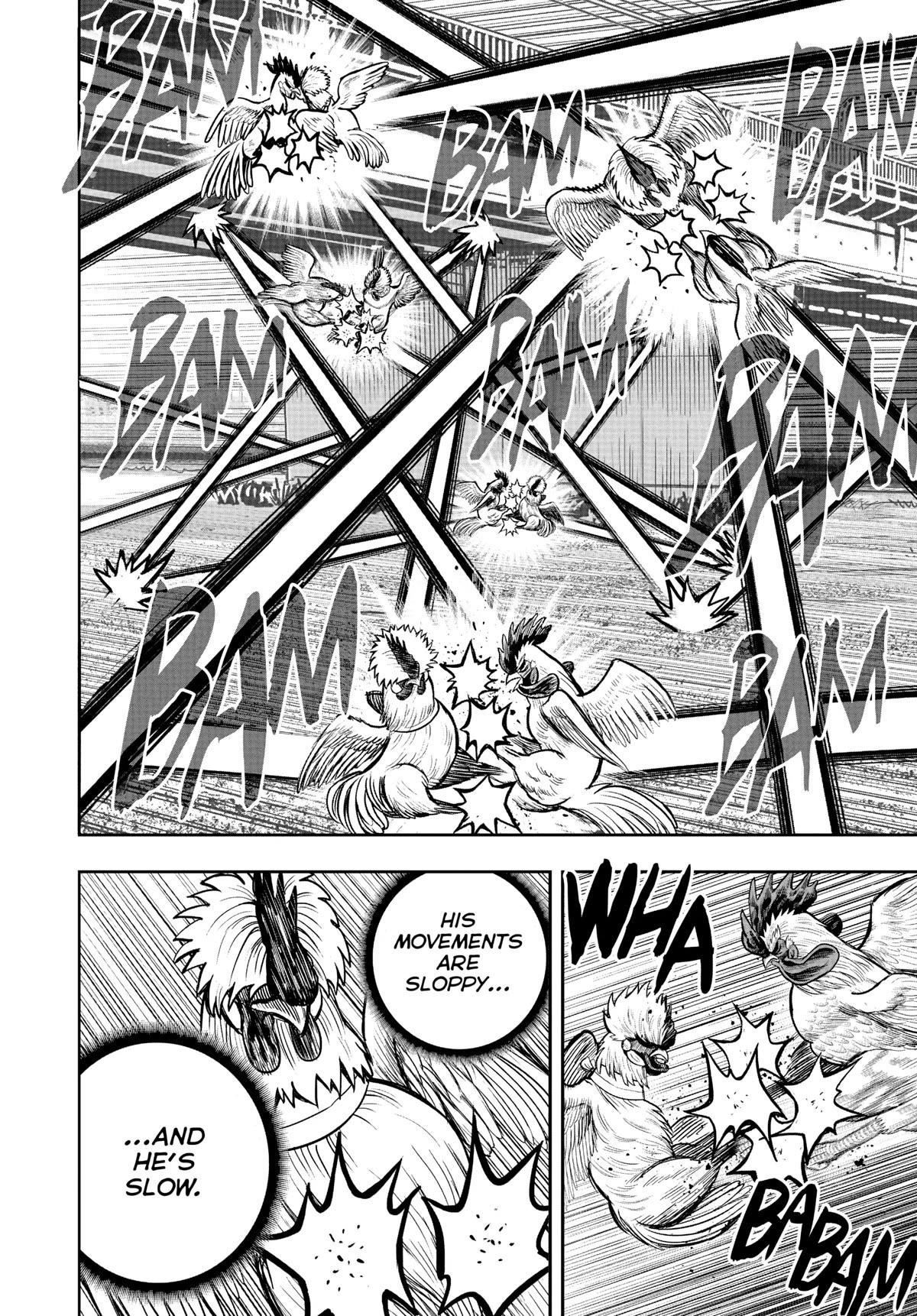 Read Rooster Fighter EN Manga Online