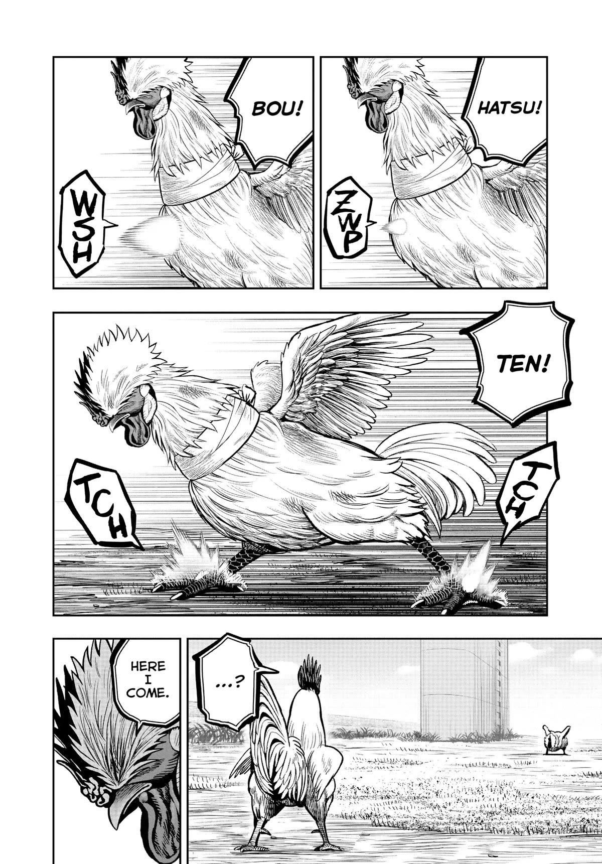 Read Rooster Fighter EN Manga Online