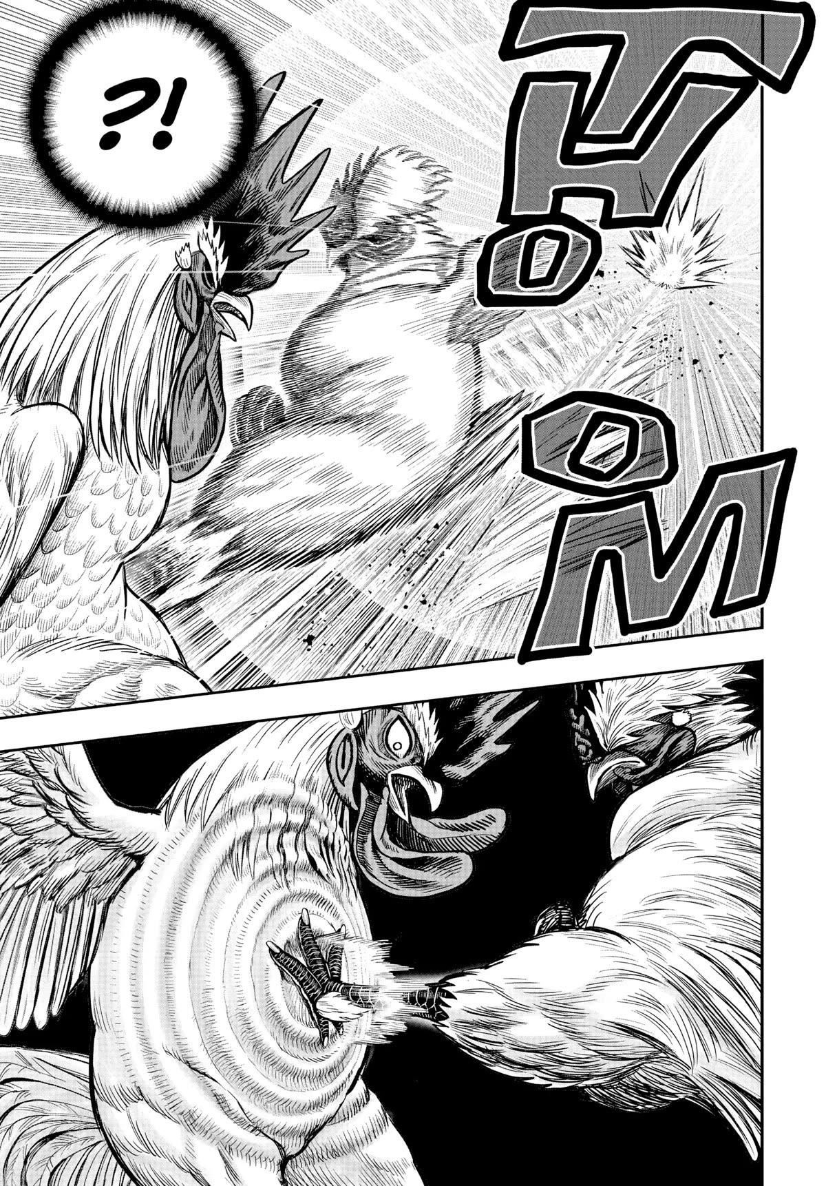 Read Rooster Fighter EN Manga Online