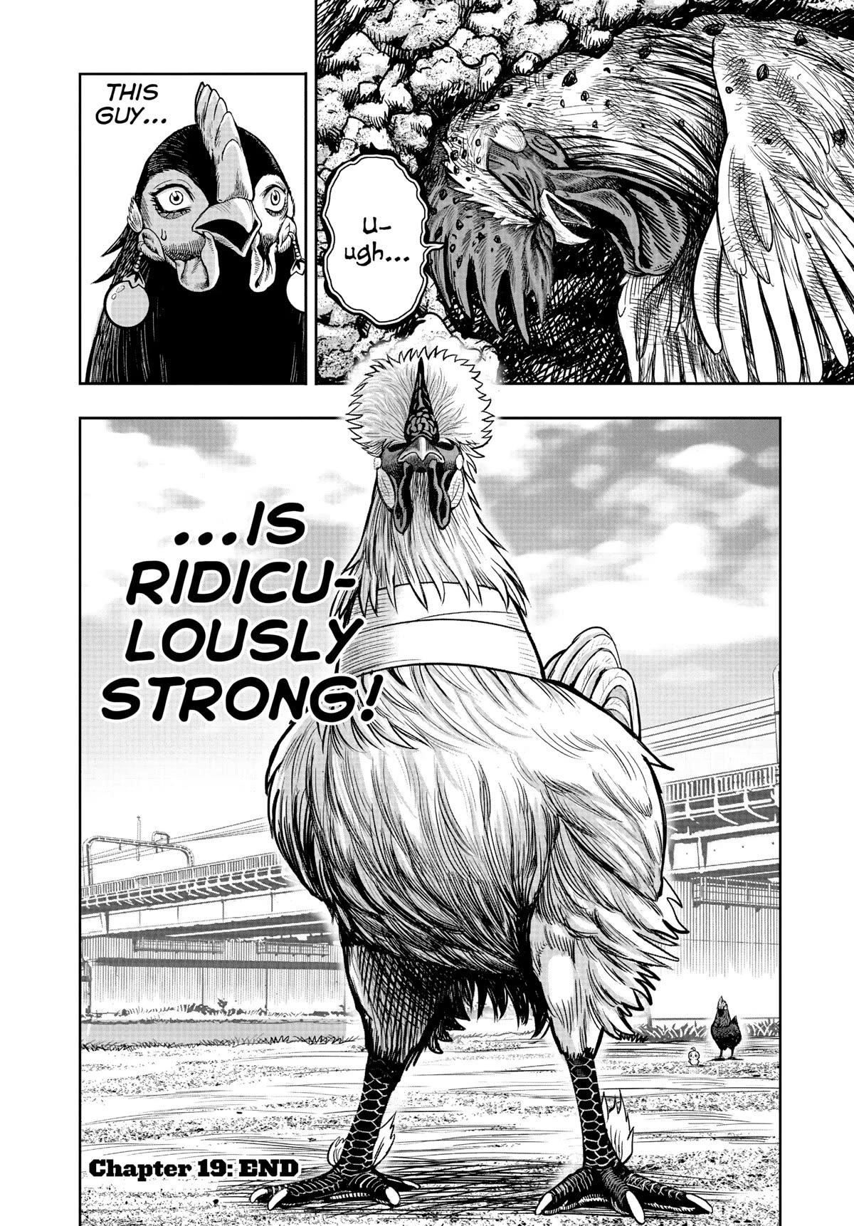 Read Rooster Fighter EN Manga Online