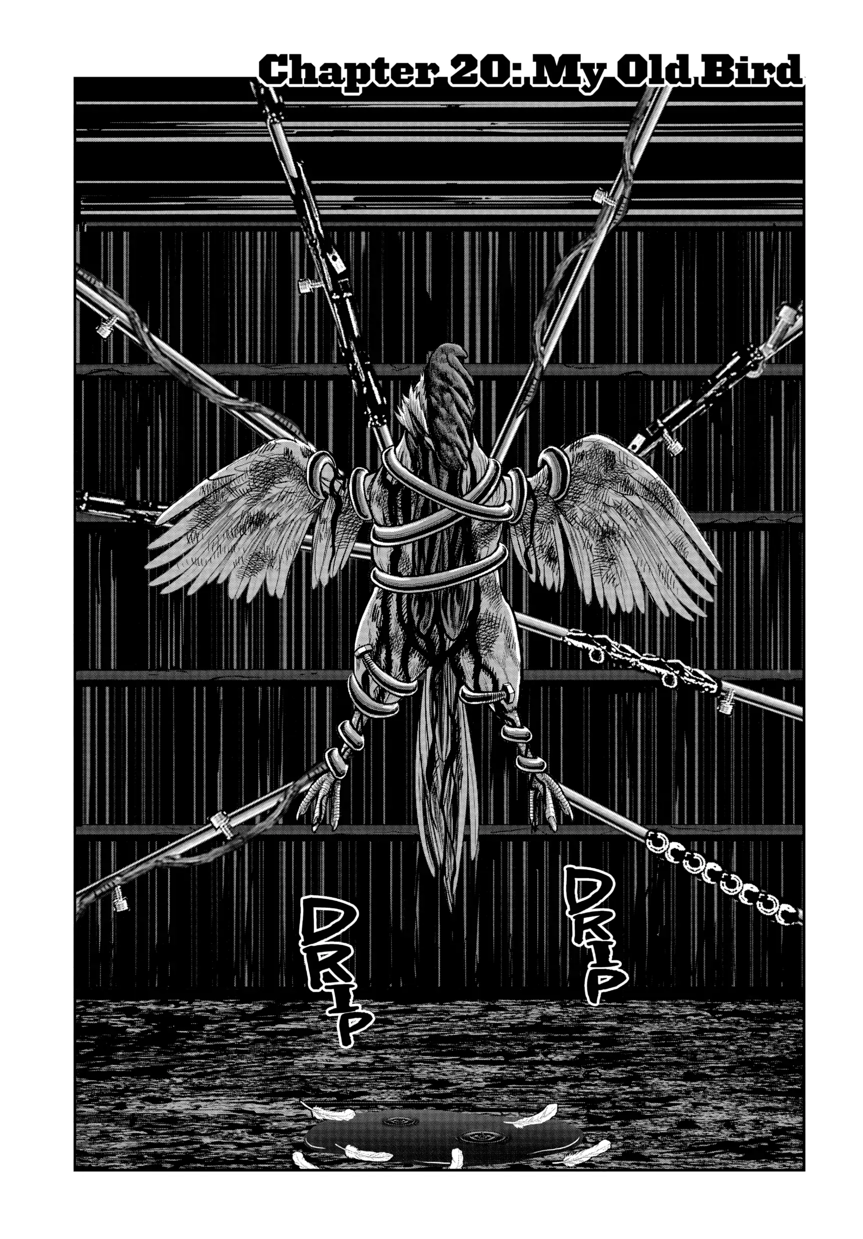 Read Rooster Fighter EN Manga Online