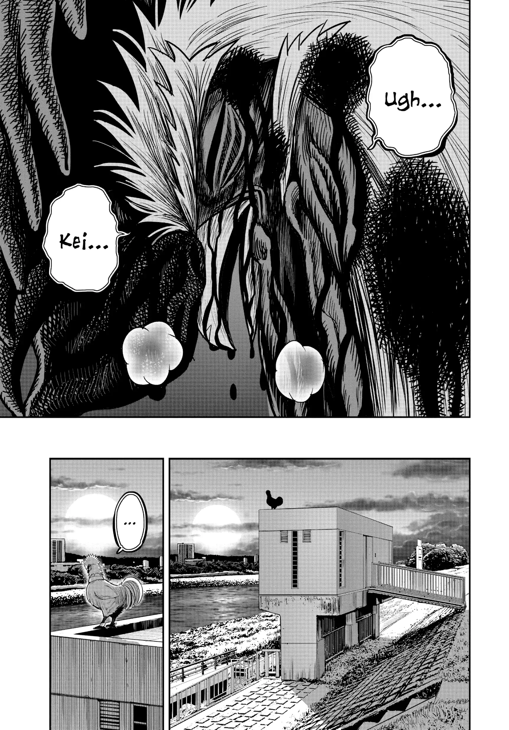 Read Rooster Fighter EN Manga Online