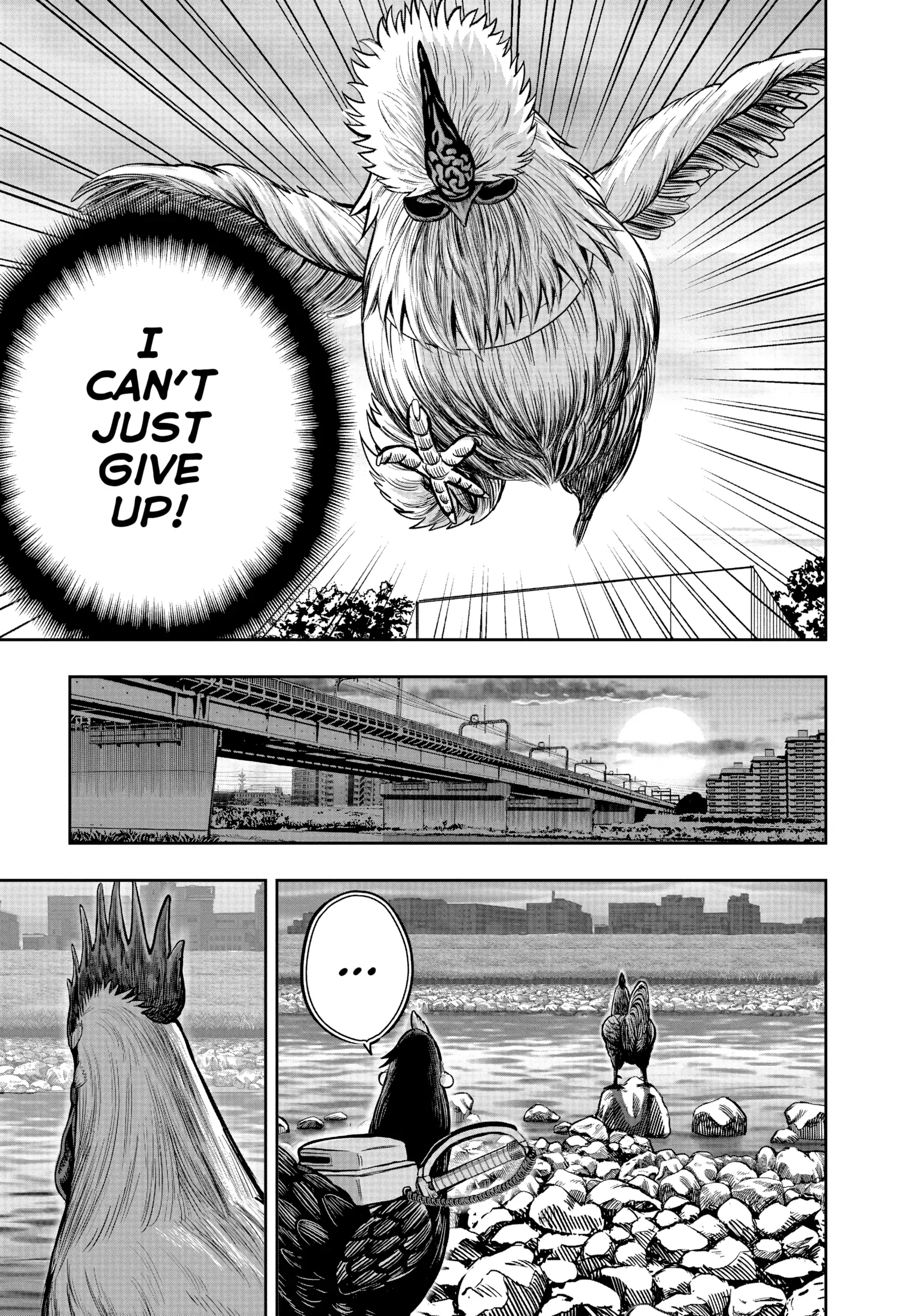 Read Rooster Fighter EN Manga Online
