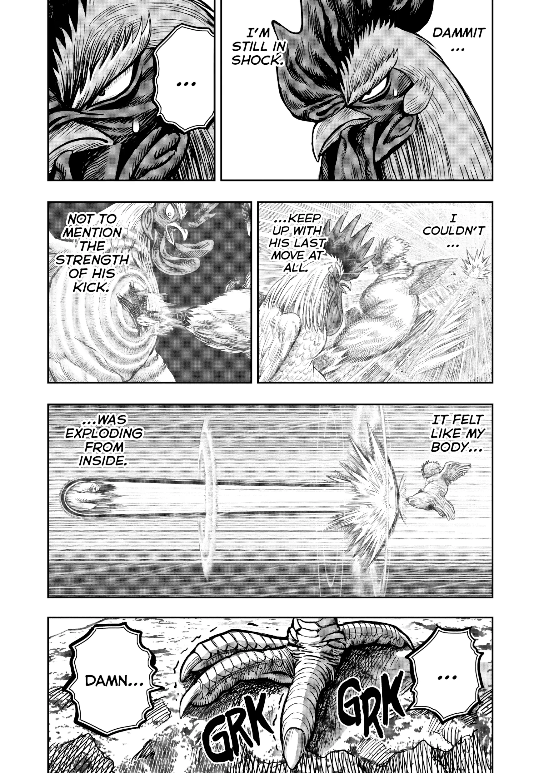 Read Rooster Fighter EN Manga Online