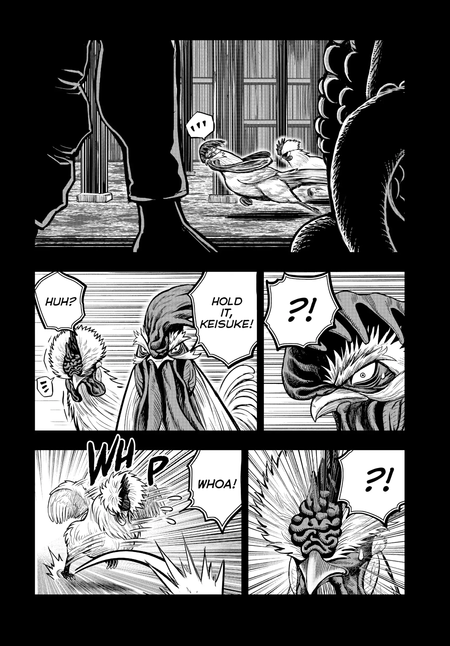 Read Rooster Fighter EN Manga Online