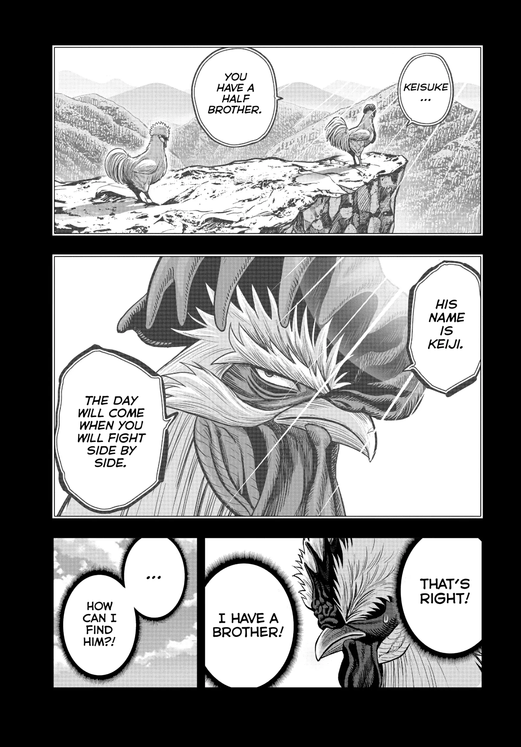 Read Rooster Fighter EN Manga Online