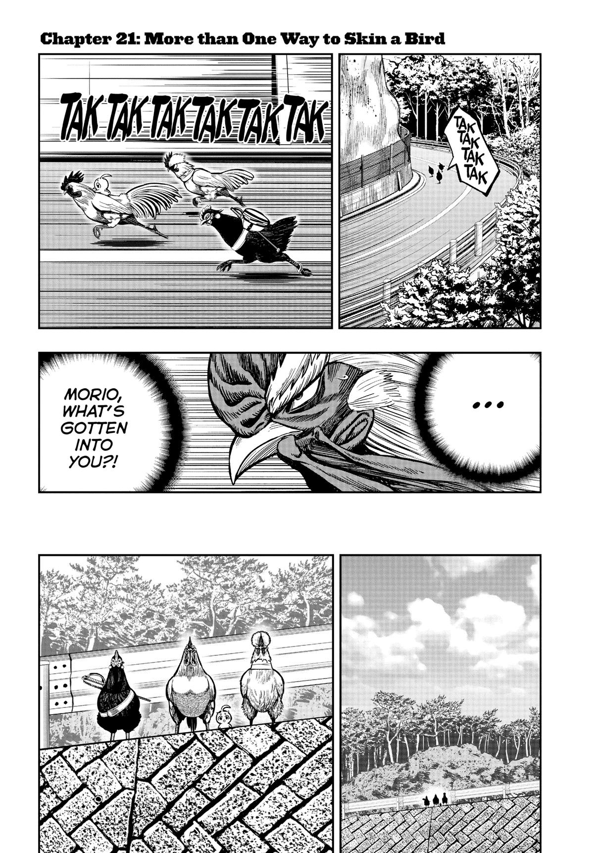 Read Rooster Fighter EN Manga Online