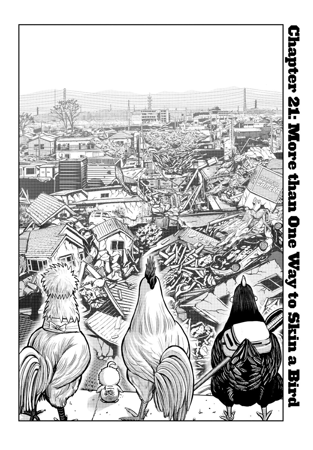 Read Rooster Fighter EN Manga Online